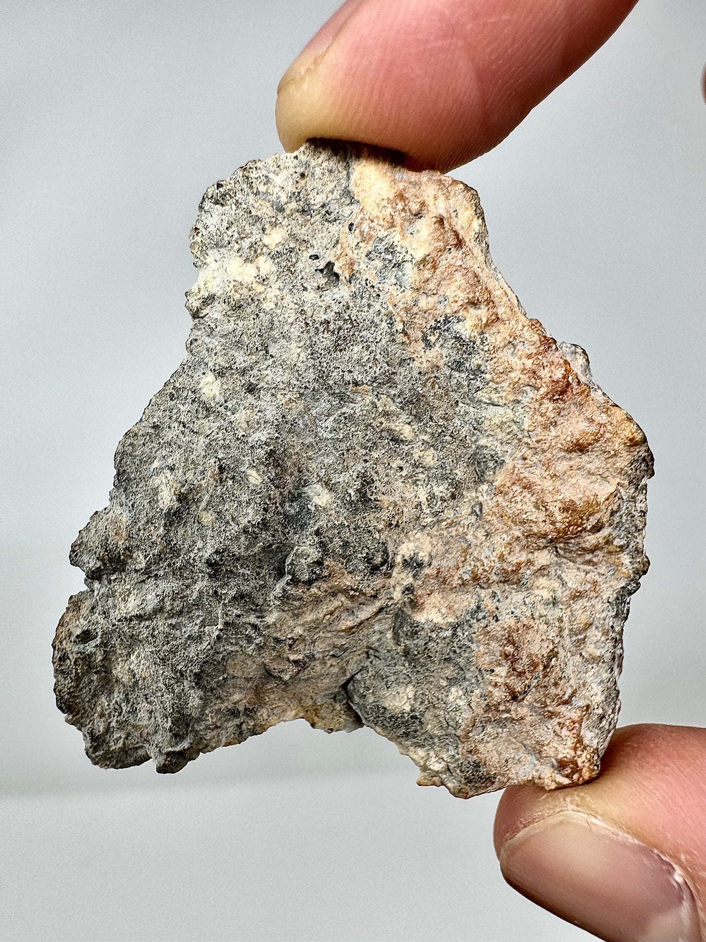 NWA 17270 Lunar Meteorite - END CUT - Colorful Meteorite From Our Moon! 11.9g