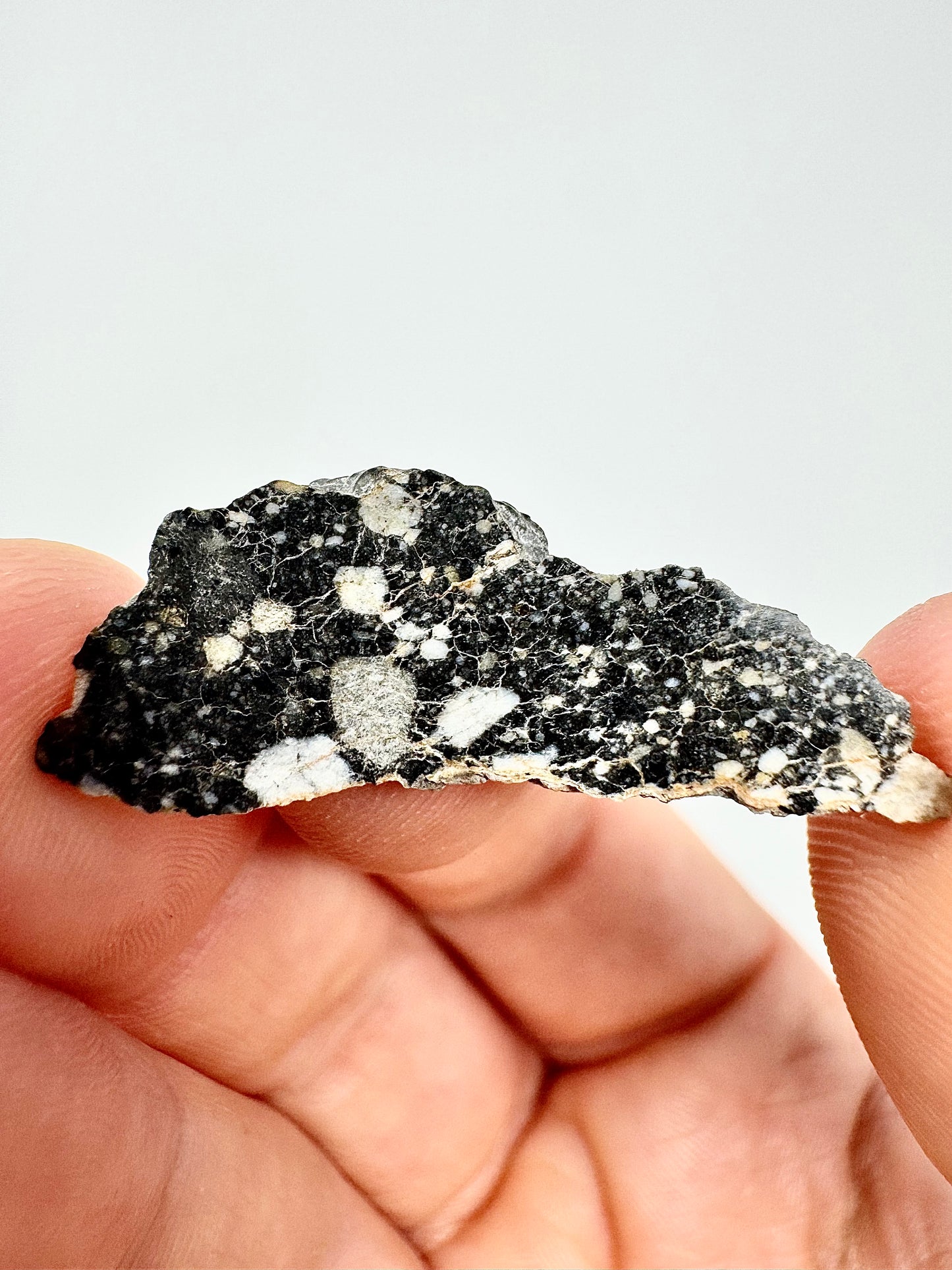 NWA 14685 Lunar Fragmental Breccia - A Piece Of Our Moon! 1.6g
