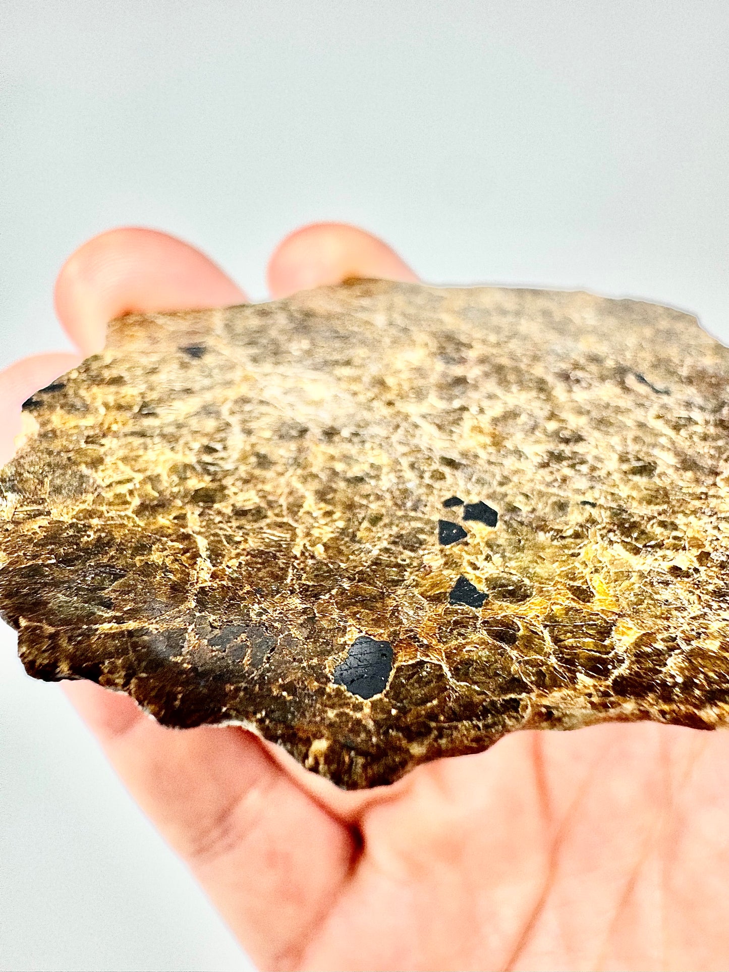 17.3g NWA 16317 Translucent Diogenite Meteorite - Parent Body: Asteroid Vesta