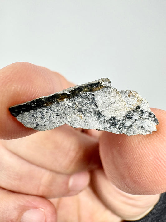 Gadamis 003 Lunar Meteorite  - Ferroan Anorthosite, Cataclastic - “The Apollo Lunar” - 1.0g