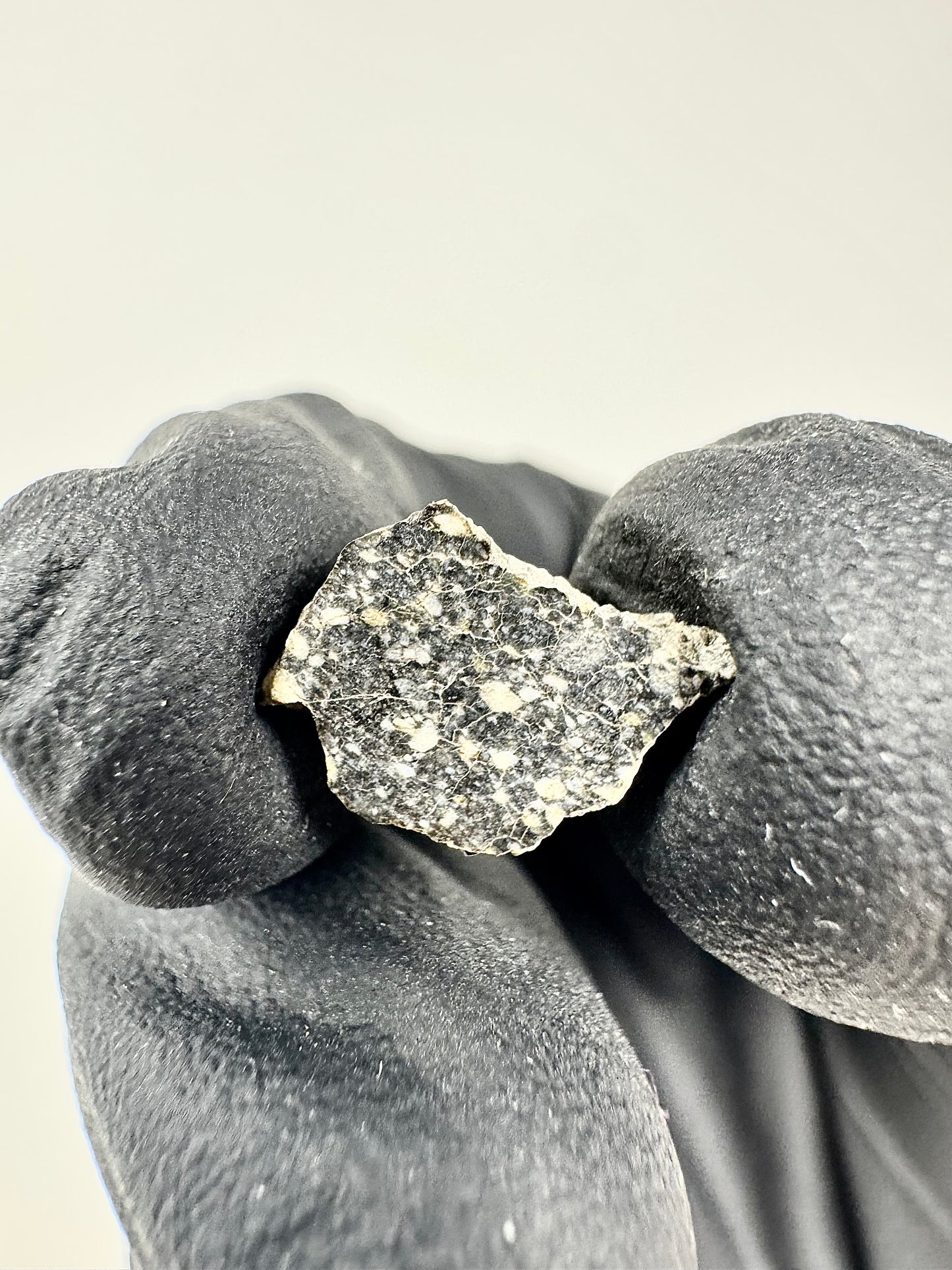 Stunning NWA 14685 Lunar Meteorite - Polished! 0.3g