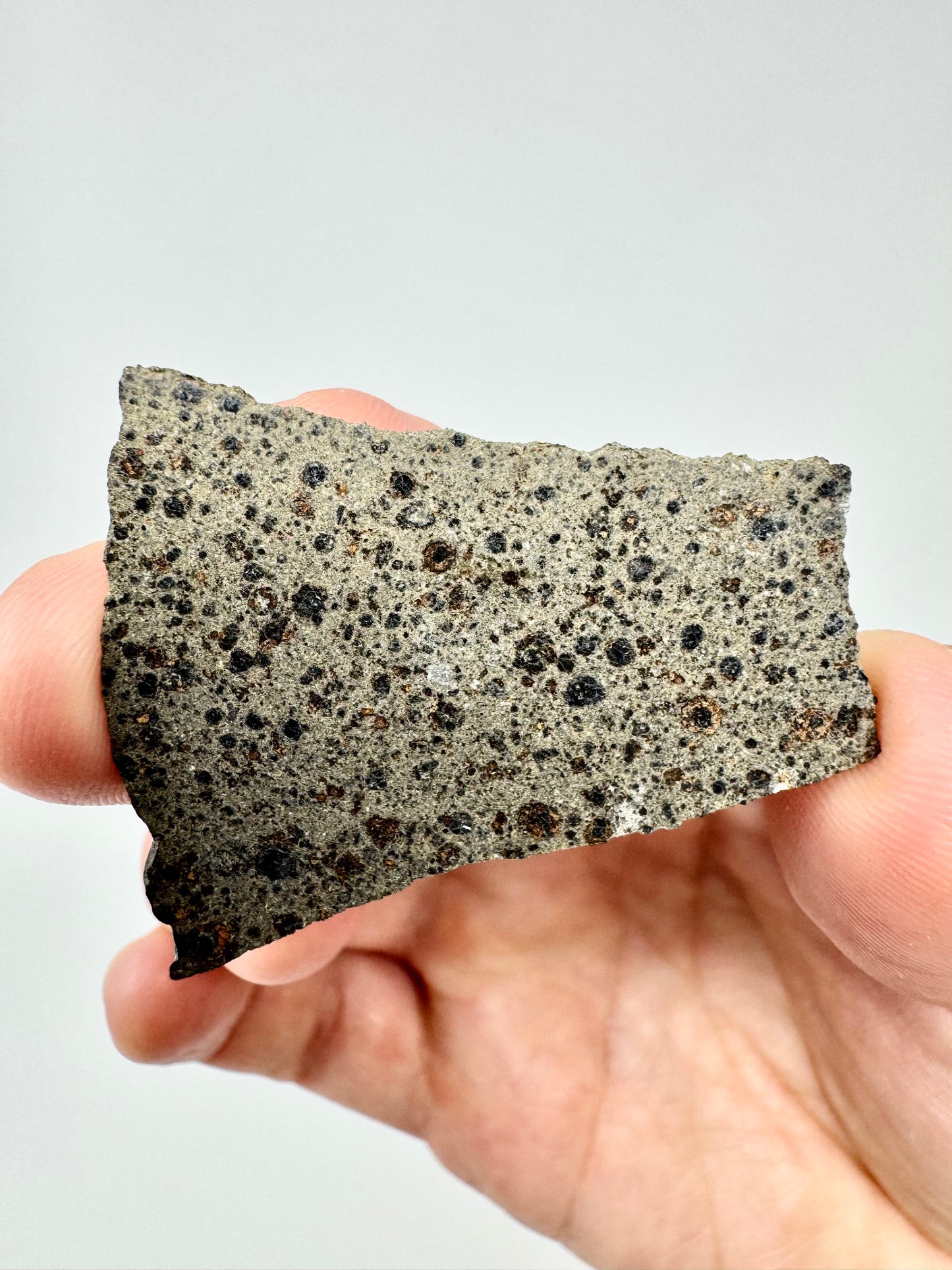 NWA 16314 Carbonaceous Chondrite - CK5 Meteorite - 8.6g - From A Carbonaceous Asteroid!