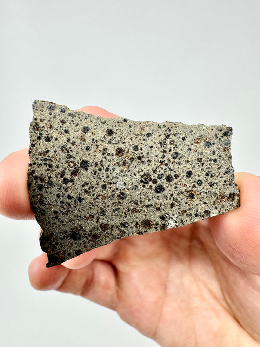 NWA 16314  Carbonaceous Chondrite - CK5 Meteorite - 8.6g - From A Carbonaceous Asteroid!