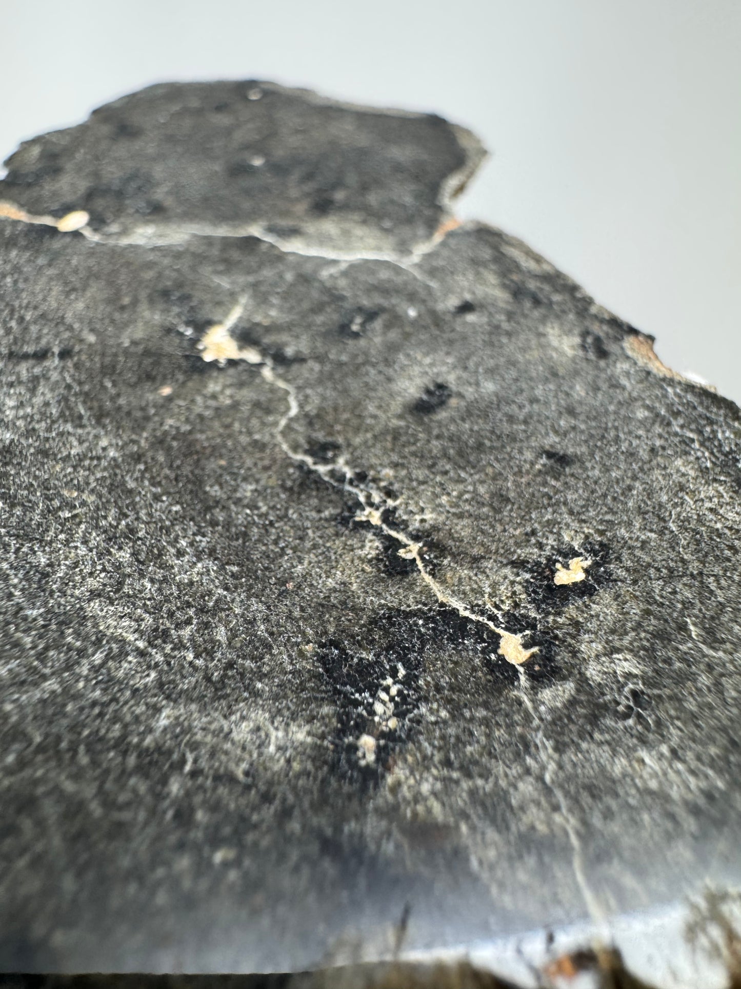 NEW: 28.6g Genuine Martian Meteorite FULL SLICE - Scientifically Studied Rock From Planet Mars
