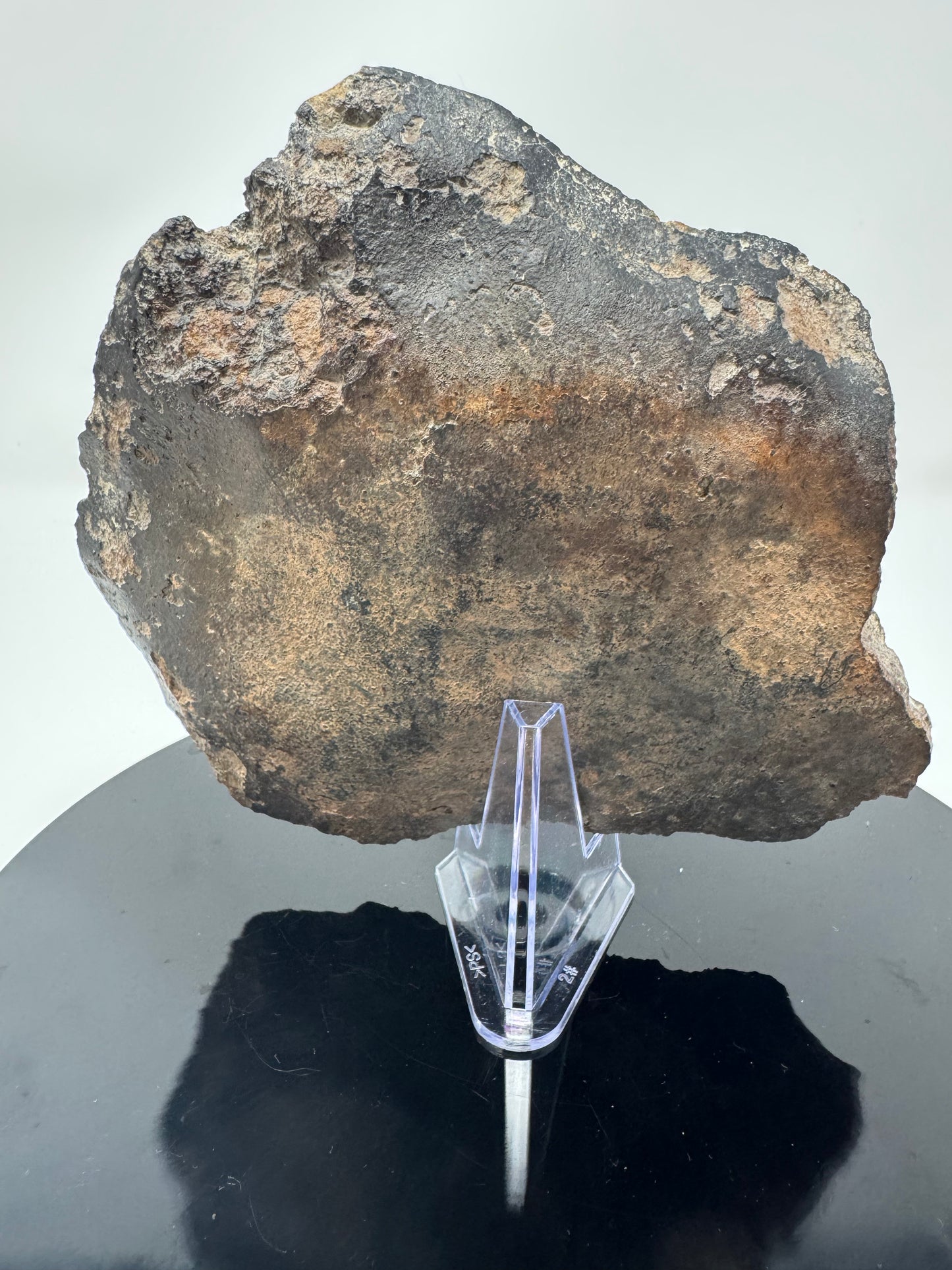Huge End Cut of NWA 15953 Diogenite Meteorite - 669g - dual lithology and jet black burnt crust!