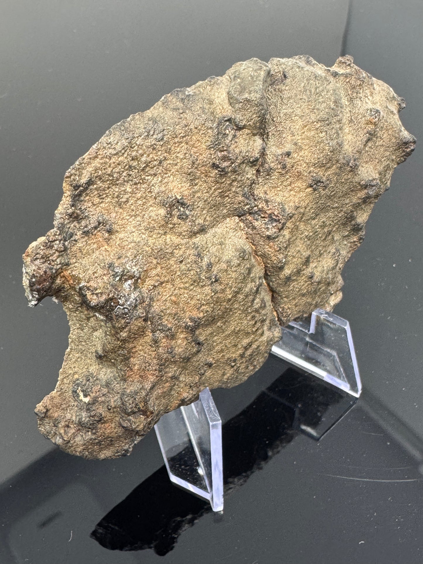 NEW: 79.6g Genuine Martian Meteorite END CUT/MAIN MASS - Scientifically Studied Rock From Planet Mars