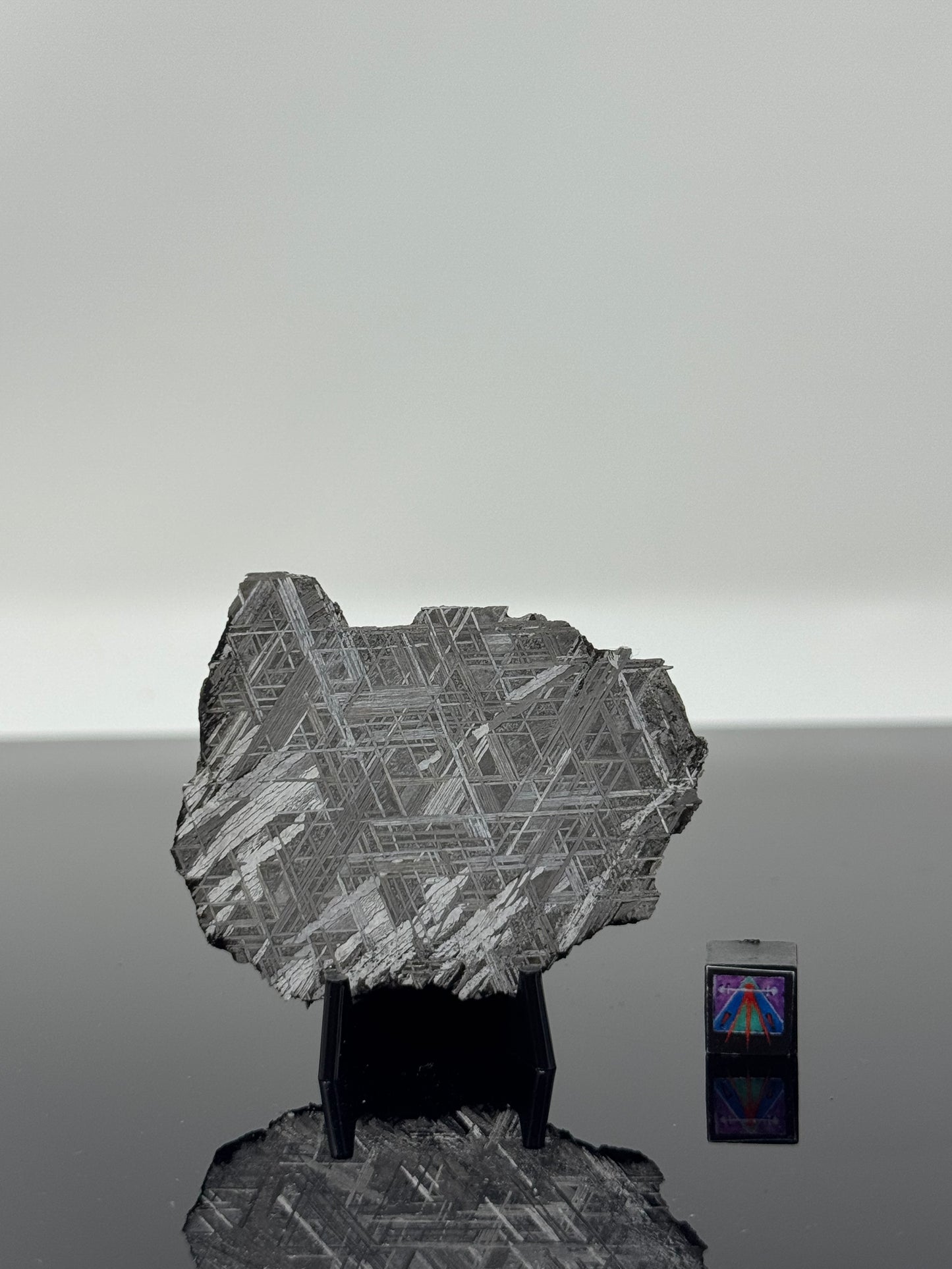 Muonionalusta Iron Meteorite - 44.8g Full Slice - From The Core Of An Asteroid!