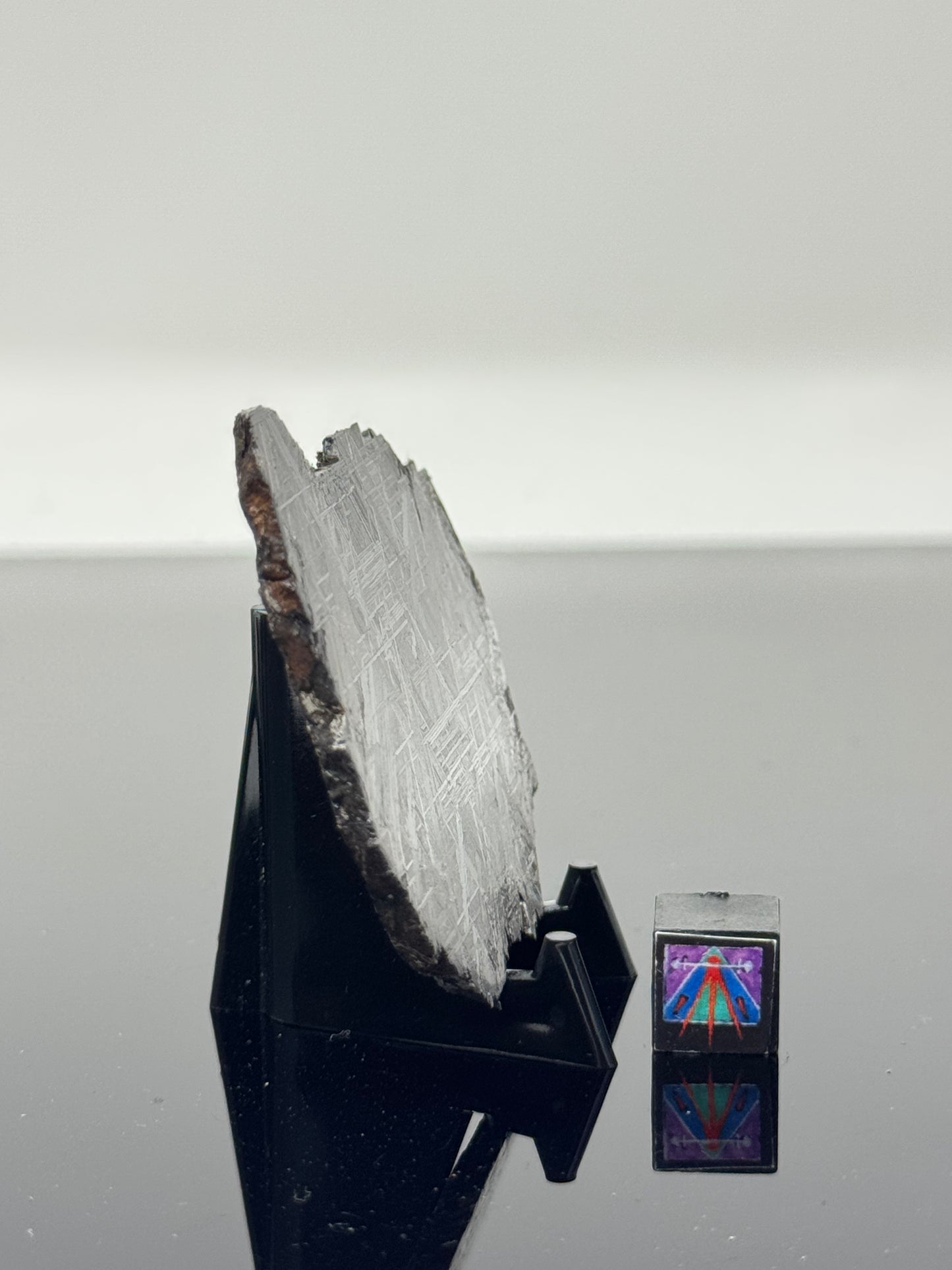 Muonionalusta Iron Meteorite - 44.8g Full Slice - From The Core Of An Asteroid!