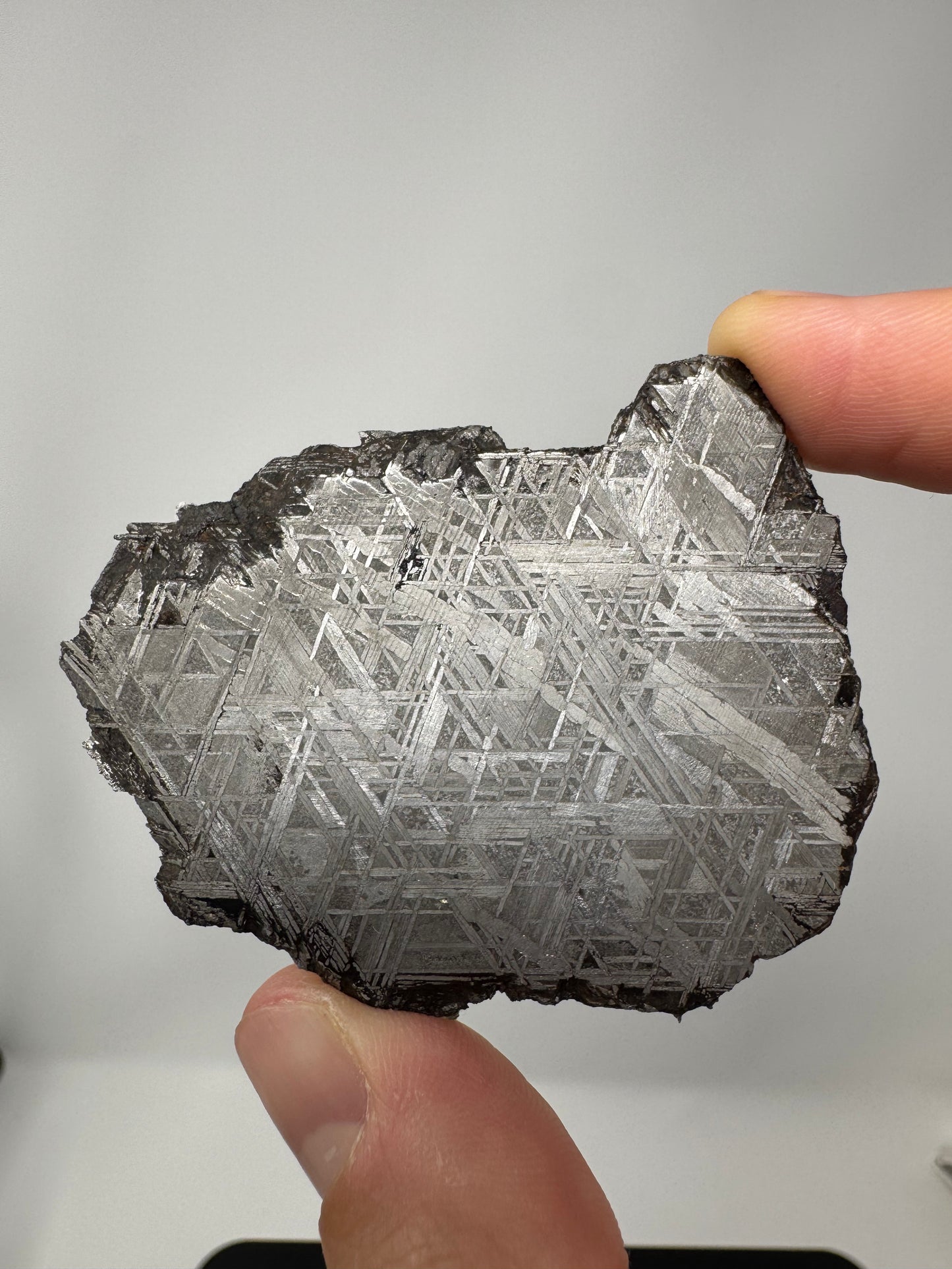 Muonionalusta Iron Meteorite - 44.8g Full Slice - From The Core Of An Asteroid!