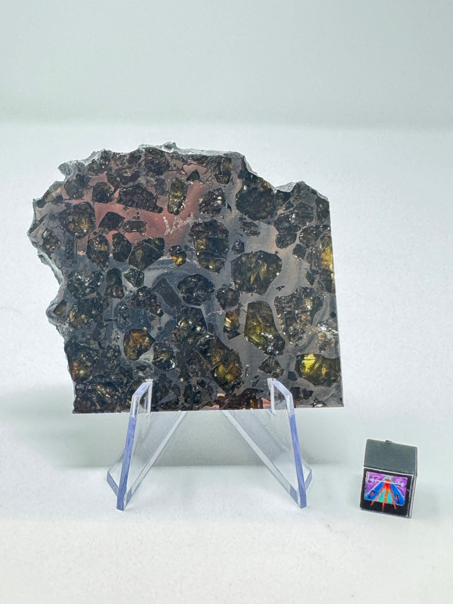Brahin Pallasite Meteorite - 47.2g - From The Mantle/Core Of An Asteroid