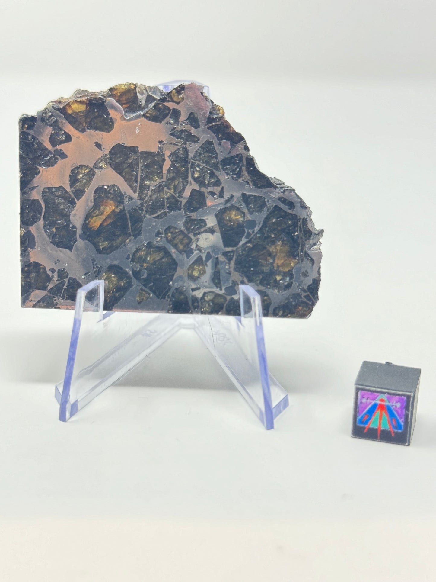 Brahin Pallasite Meteorite - 42.6g - From The Mantle/Core Of An Asteroid