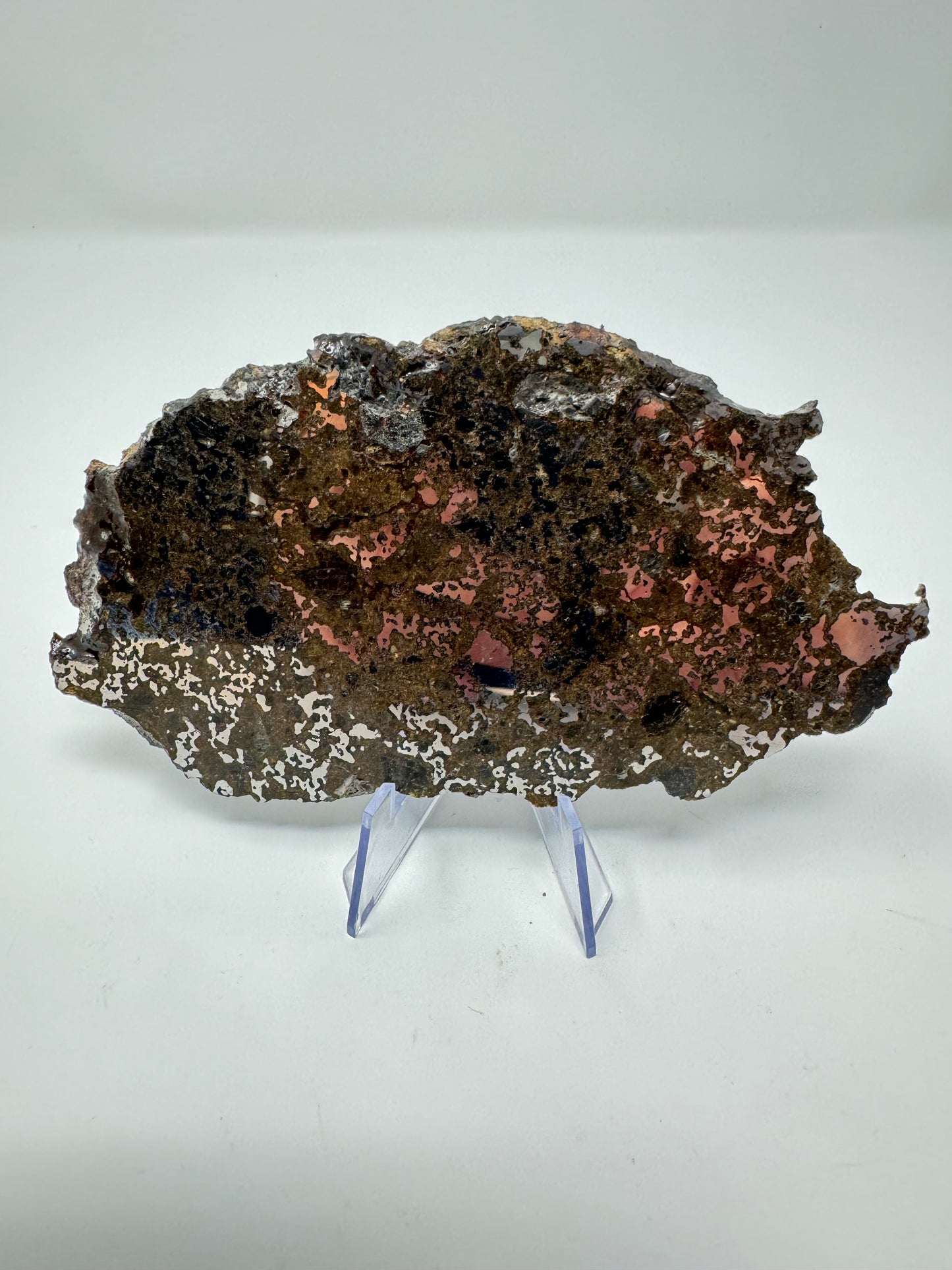 72.1g El Milhas 005 Mesosiderite Meteorite - The Estherville Lookalike!