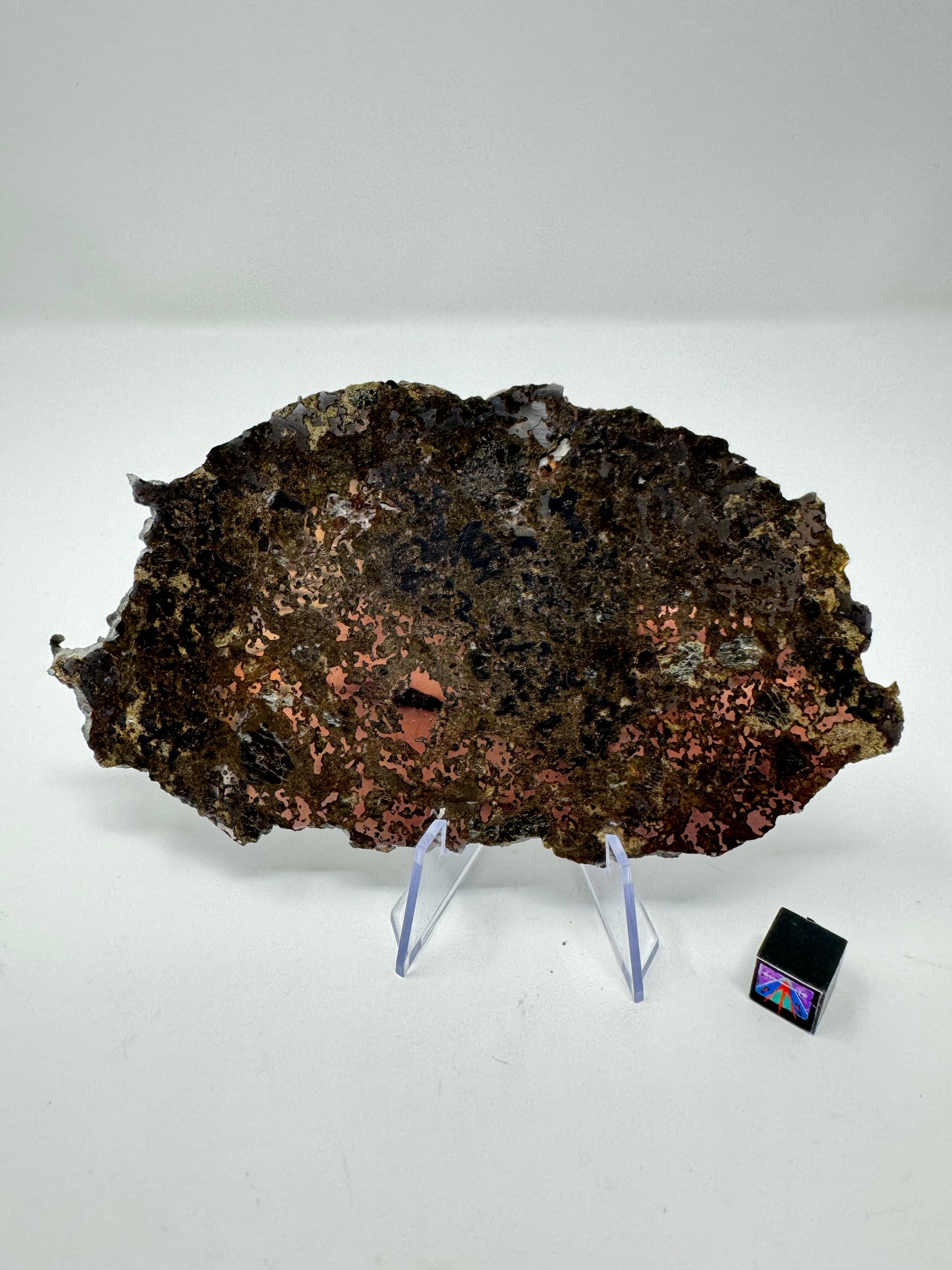 72.1g El Milhas 005 Mesosiderite Meteorite - The Estherville Lookalike!