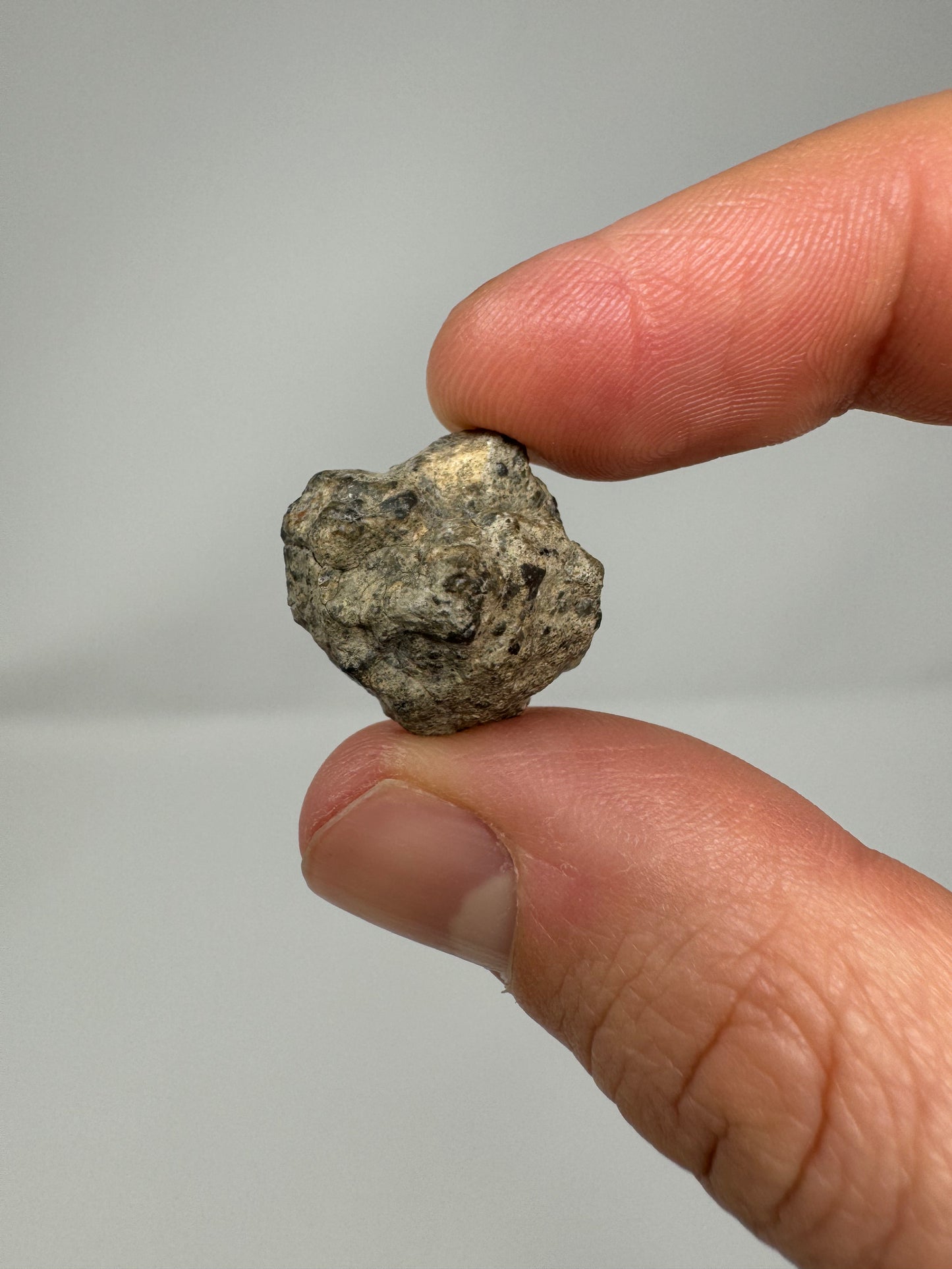 Bechar 003 Lunar Feldspathic Breccia End Cut - 4.1g - Polished