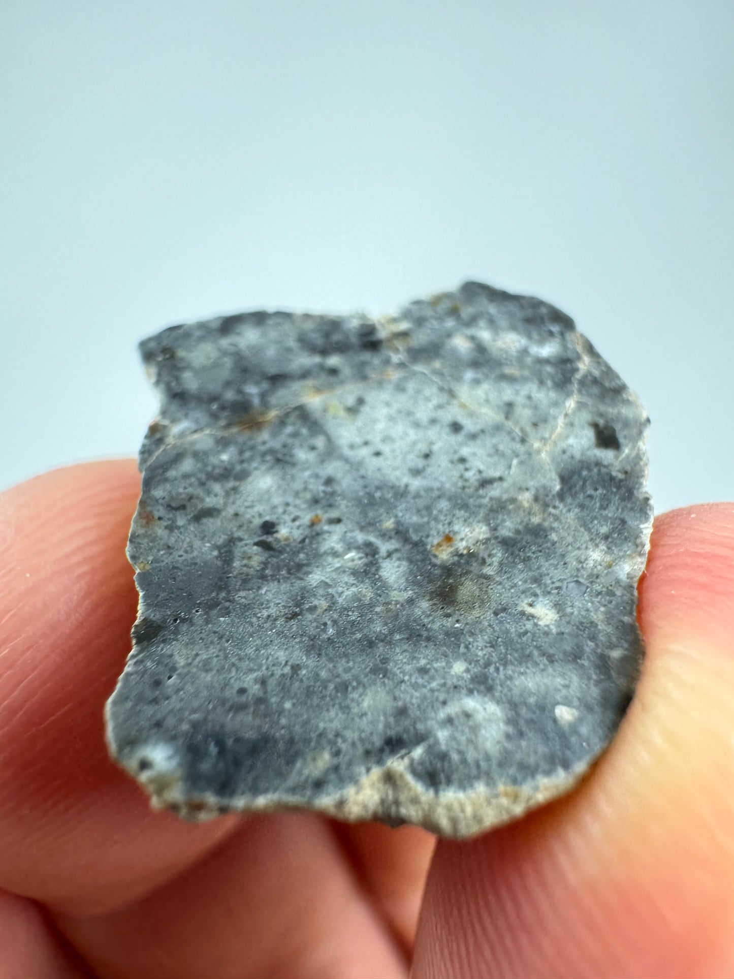 Bechar 003 Lunar Feldspathic Breccia End Cut - 4.1g - Polished