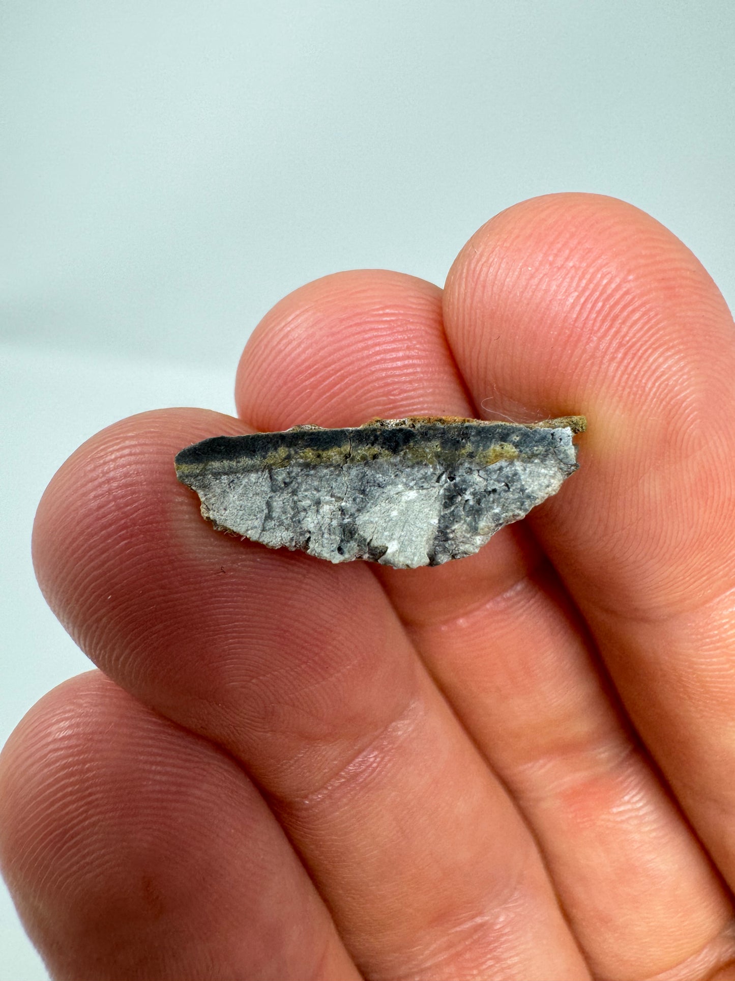 Gadamis 005 Lunar Meteorite End Cut - Ferroan Anorthosite, Cataclastic - “The Apollo Lunar” - 1.2g