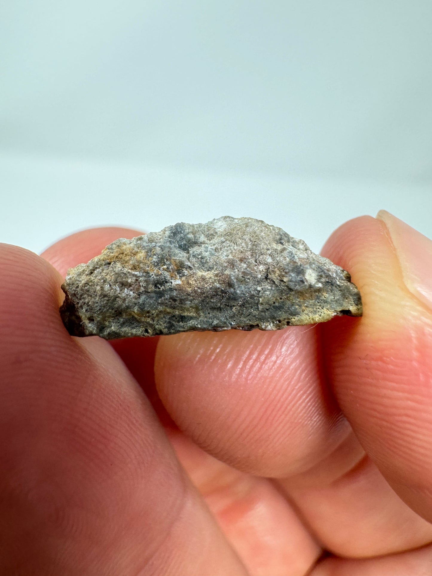 Gadamis 005 Lunar Meteorite End Cut - Ferroan Anorthosite, Cataclastic - “The Apollo Lunar” - 1.2g