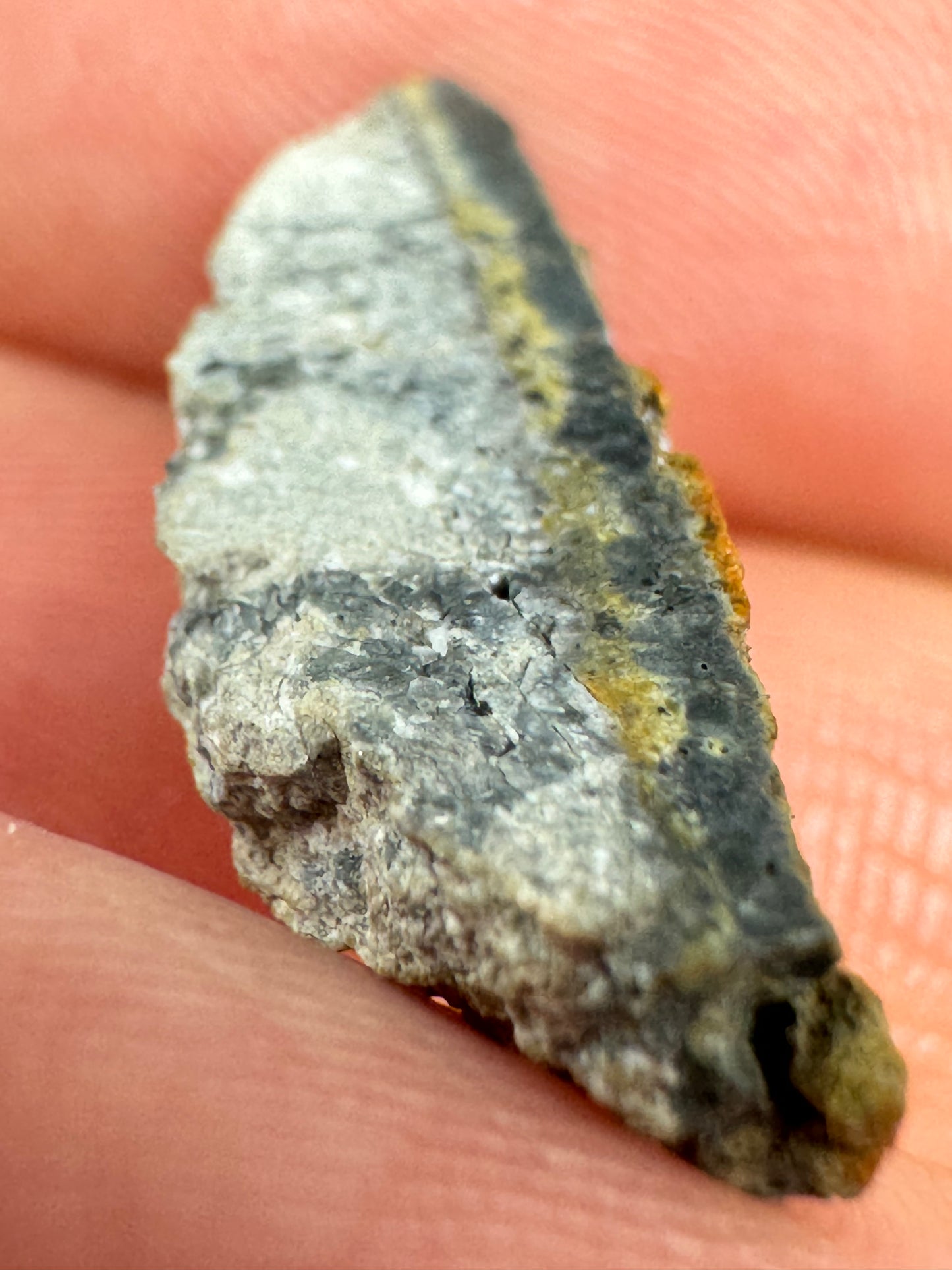 Gadamis 005 Lunar Meteorite End Cut - Ferroan Anorthosite, Cataclastic - “The Apollo Lunar” - 1.2g