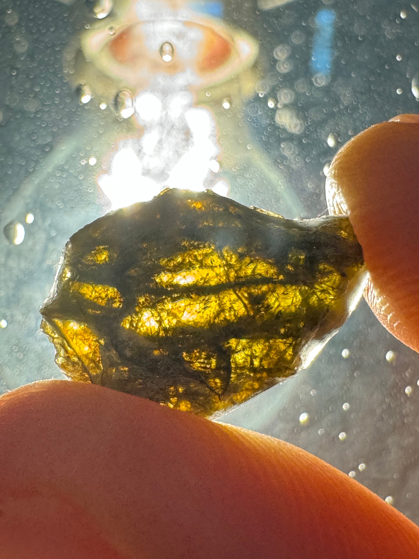 NWA 7831 Beautiful Translucent Diogenite Meteorite - 1.0g - Parent Body: Asteroid Vesta