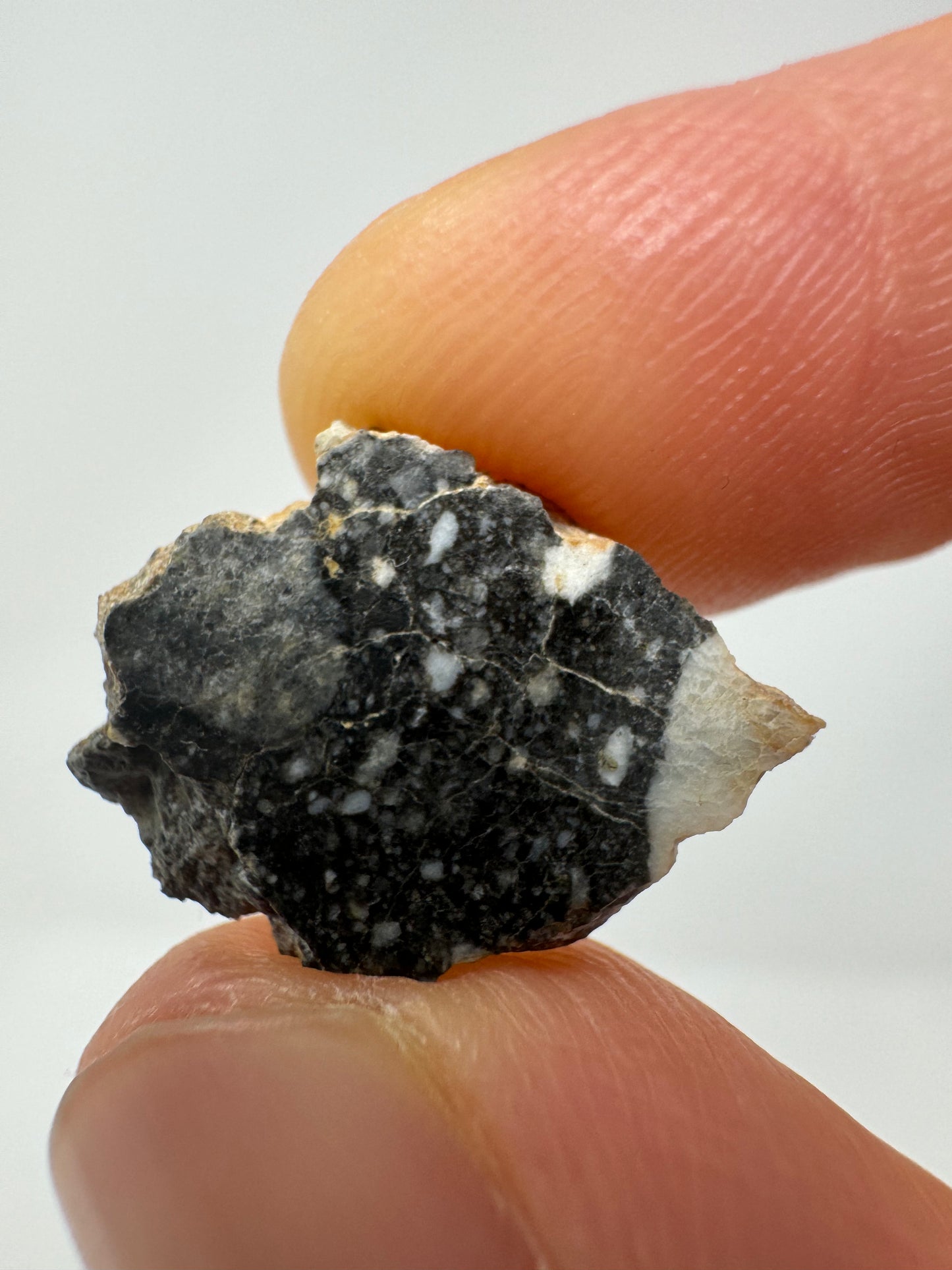 NWA 14685 Lunar Fragmental Breccia - A Chunk Of Our Moon! 1.0g
