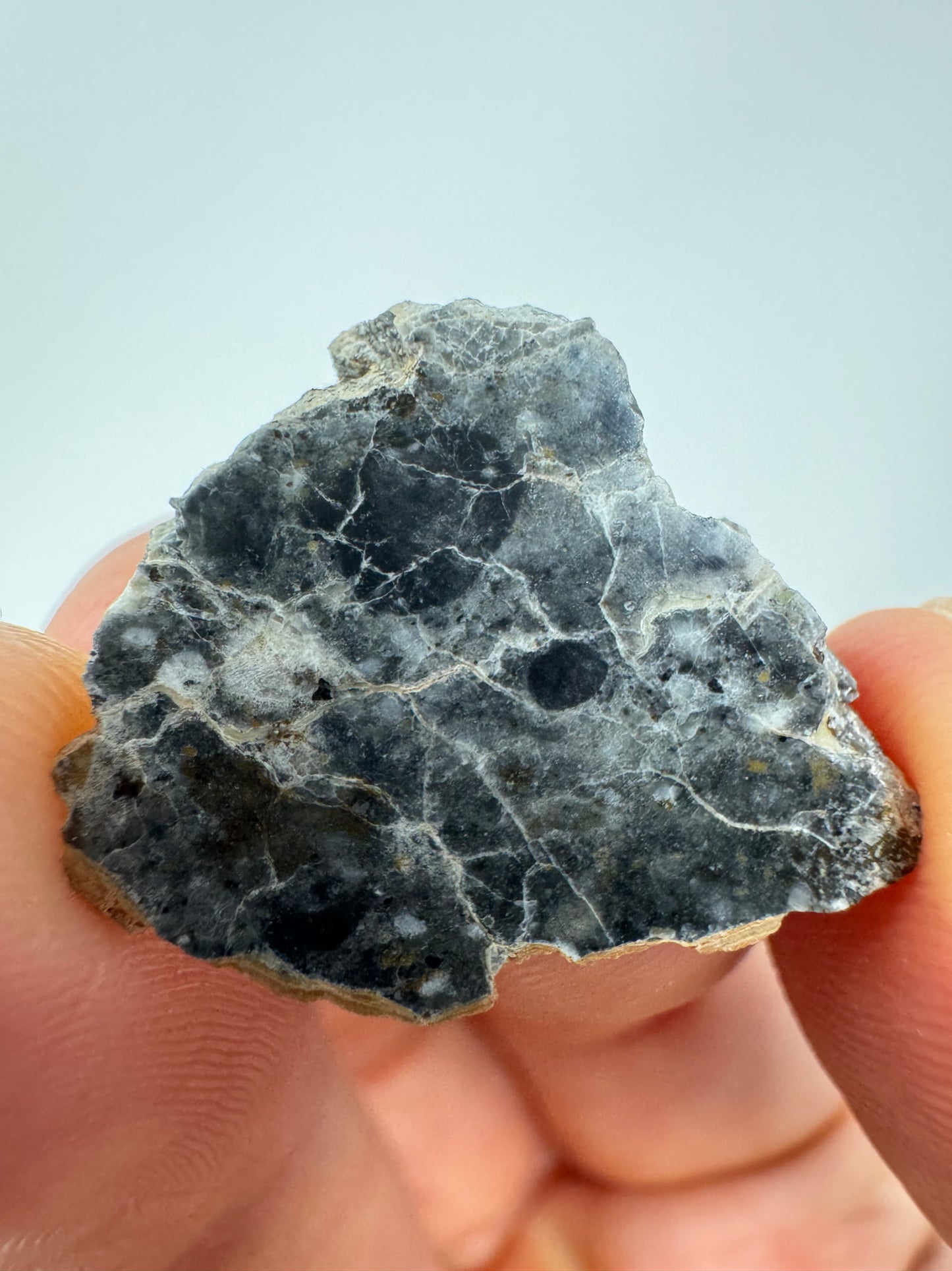 1.8g Bechar 003 Lunar Feldspathic Breccia with metal inclusions from impact in space! Polished