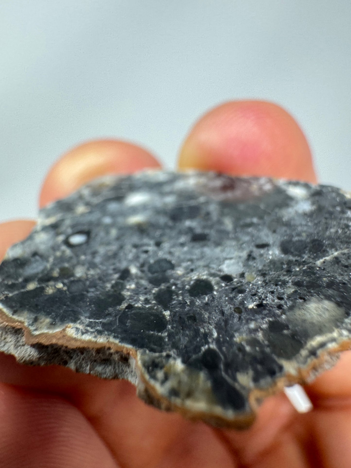 Stunning 3.8g Bechar 003 Lunar Feldspathic Breccia with metal inclusion from impact in space! Polished