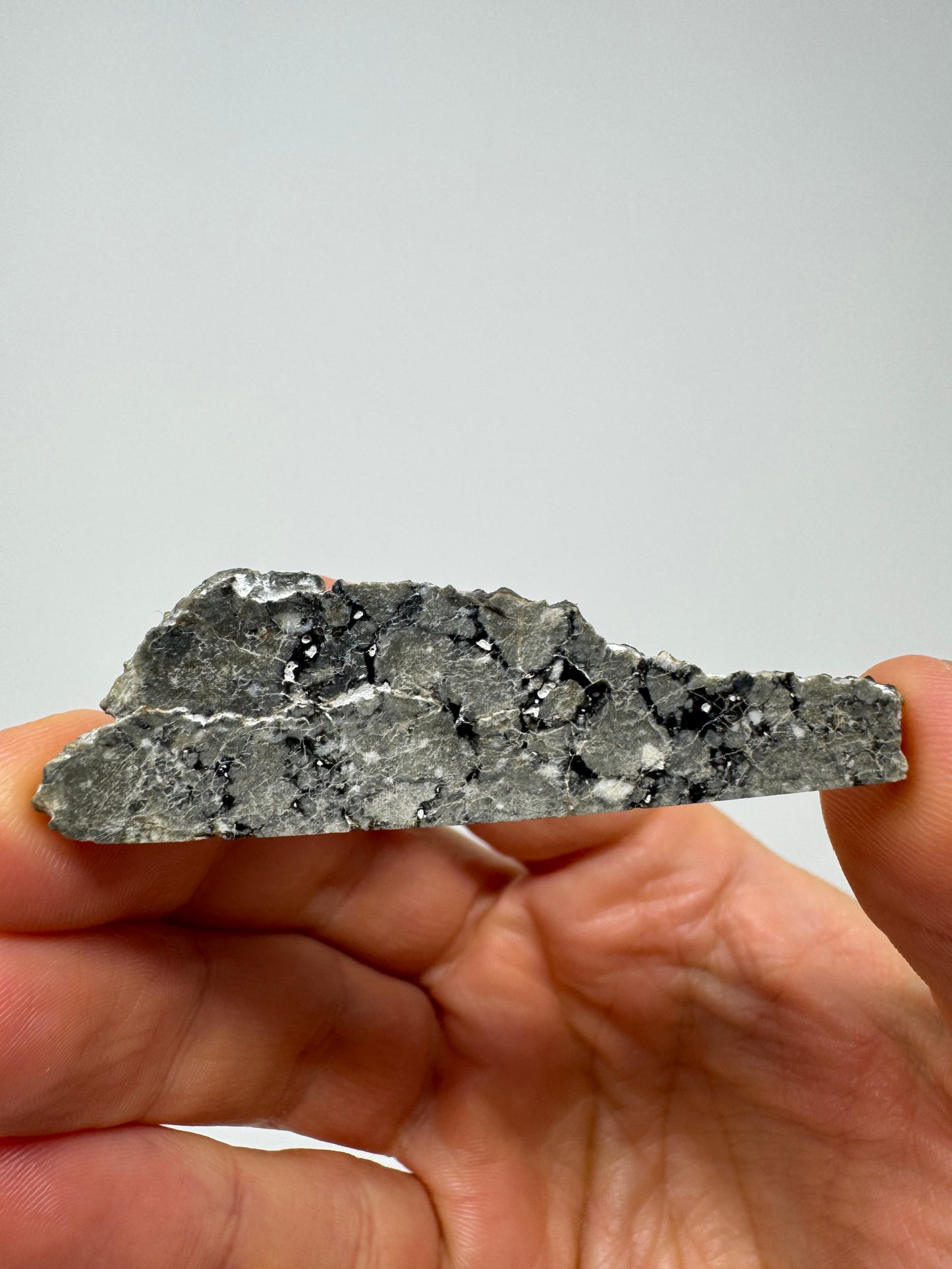 8.1 Gadamis 007 Lunar Meteorite - Rare Ferroan Anorthosite, Cataclastic - Polished - “The Apollo Lunar” - Thick Slice