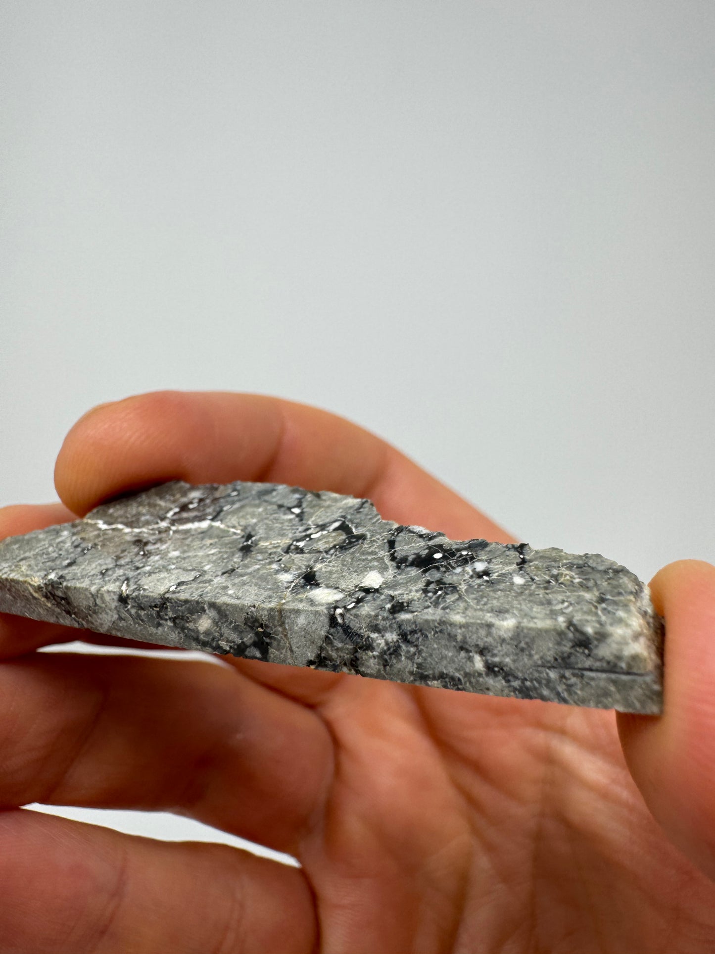 8.1 Gadamis 007 Lunar Meteorite - Rare Ferroan Anorthosite, Cataclastic - Polished - “The Apollo Lunar” - Thick Slice