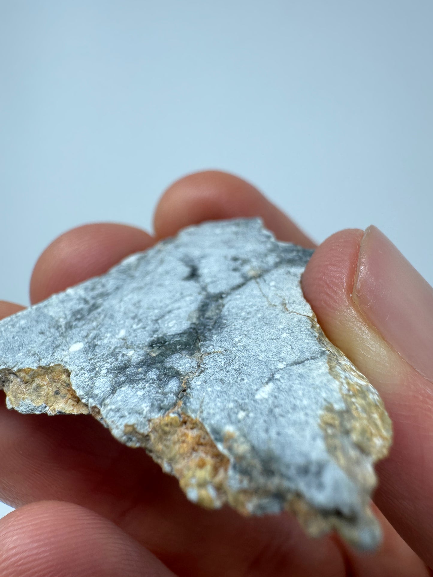 Gadamis 003 Lunar Meteorite - Ferroan Anorthosite, Cataclastic - “The Apollo Lunar” - Full Slice - 5.4g