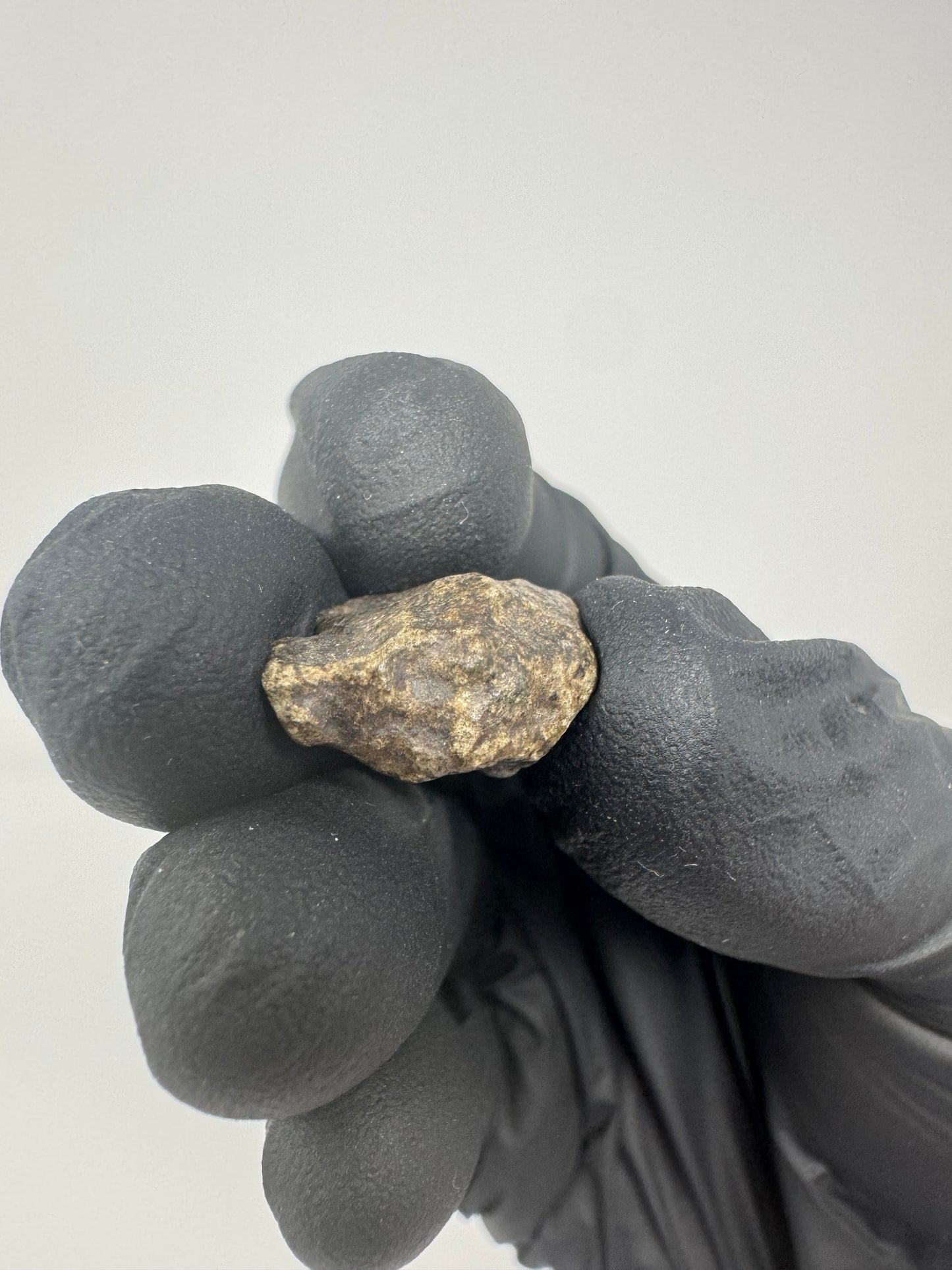 3.6g Genuine Martian Meteorite Amgala 001 - Whole Individual! Scientifically Studied Rock From Planet Mars