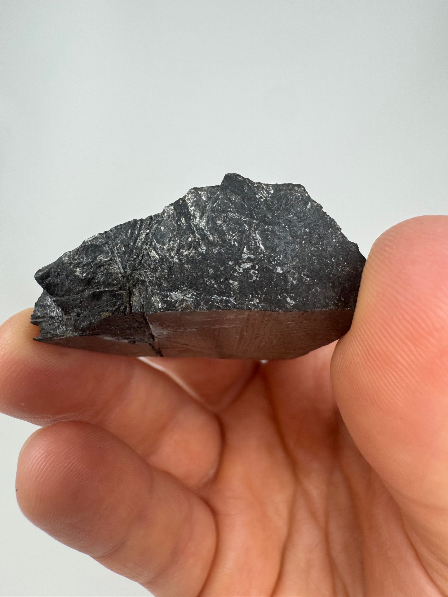 Beautiful, Newly Discovered Iron Meteorite End Cut - Heavy! 65.8g