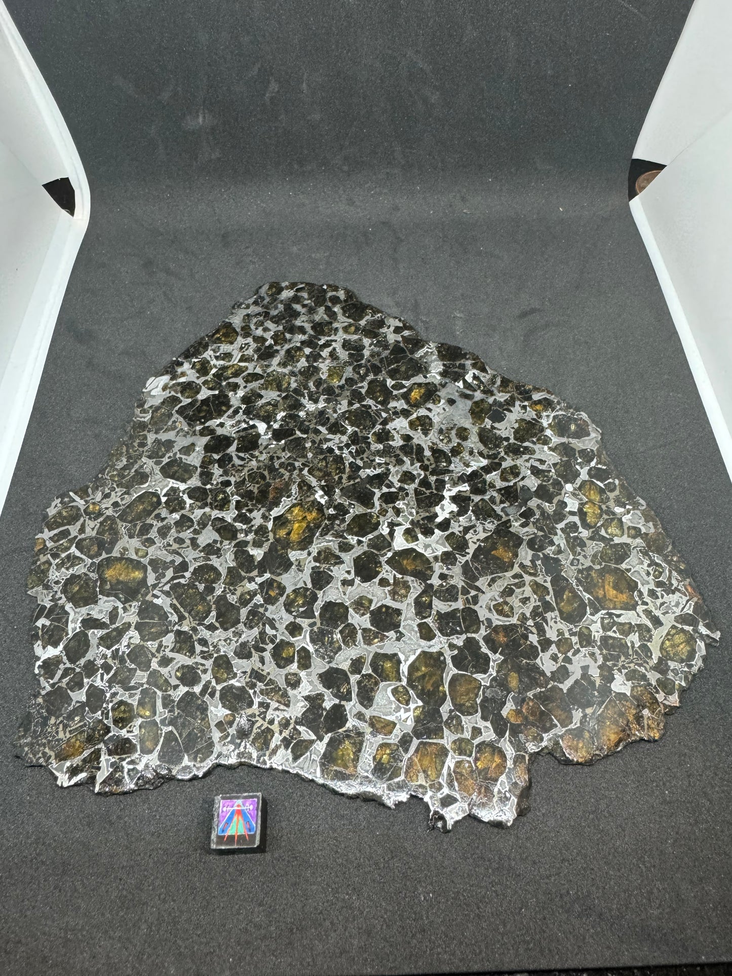 Brahin Pallasite Meteorite - Full Slice - 263g