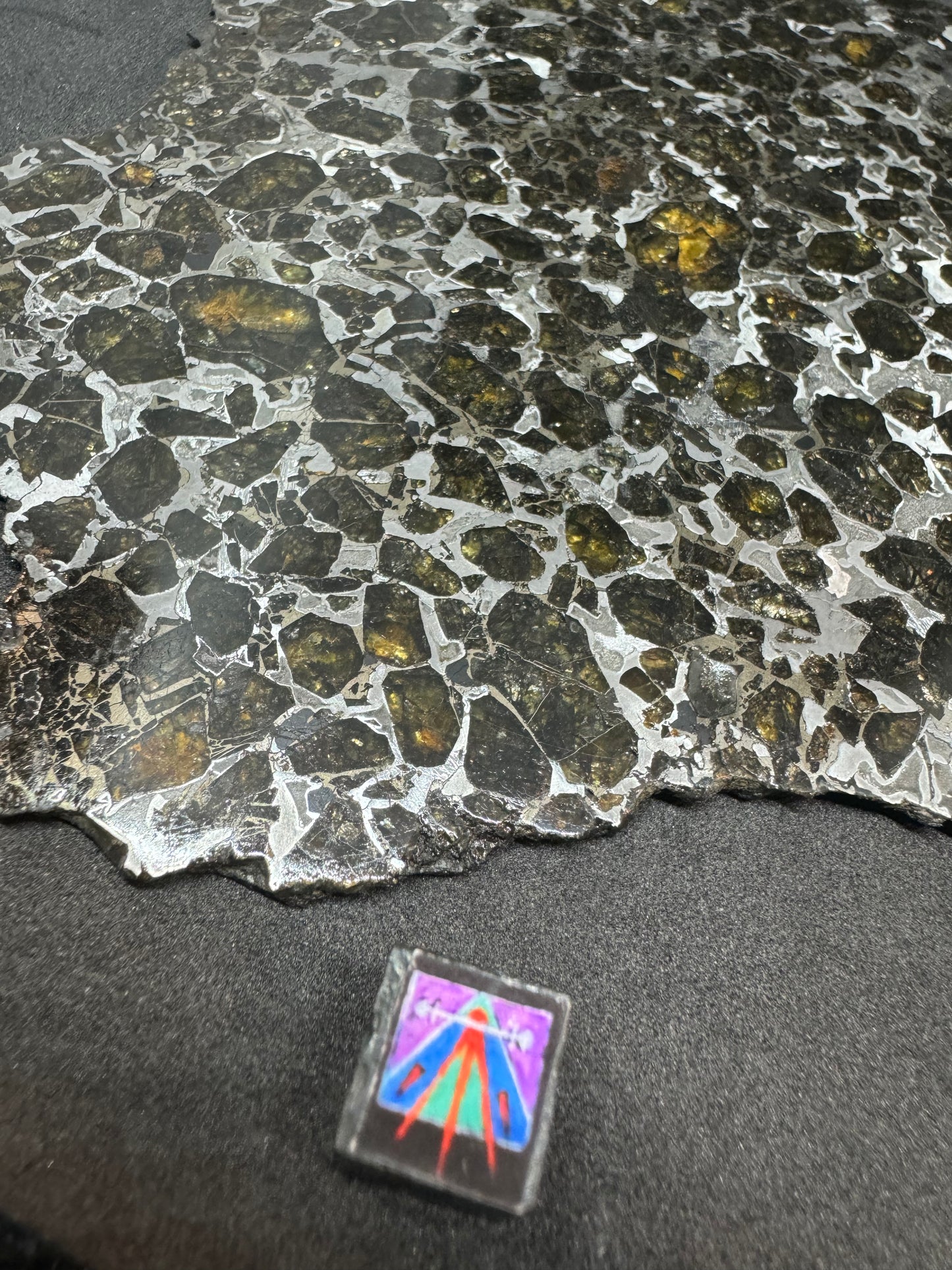 Brahin Pallasite Meteorite - Full Slice - 263g