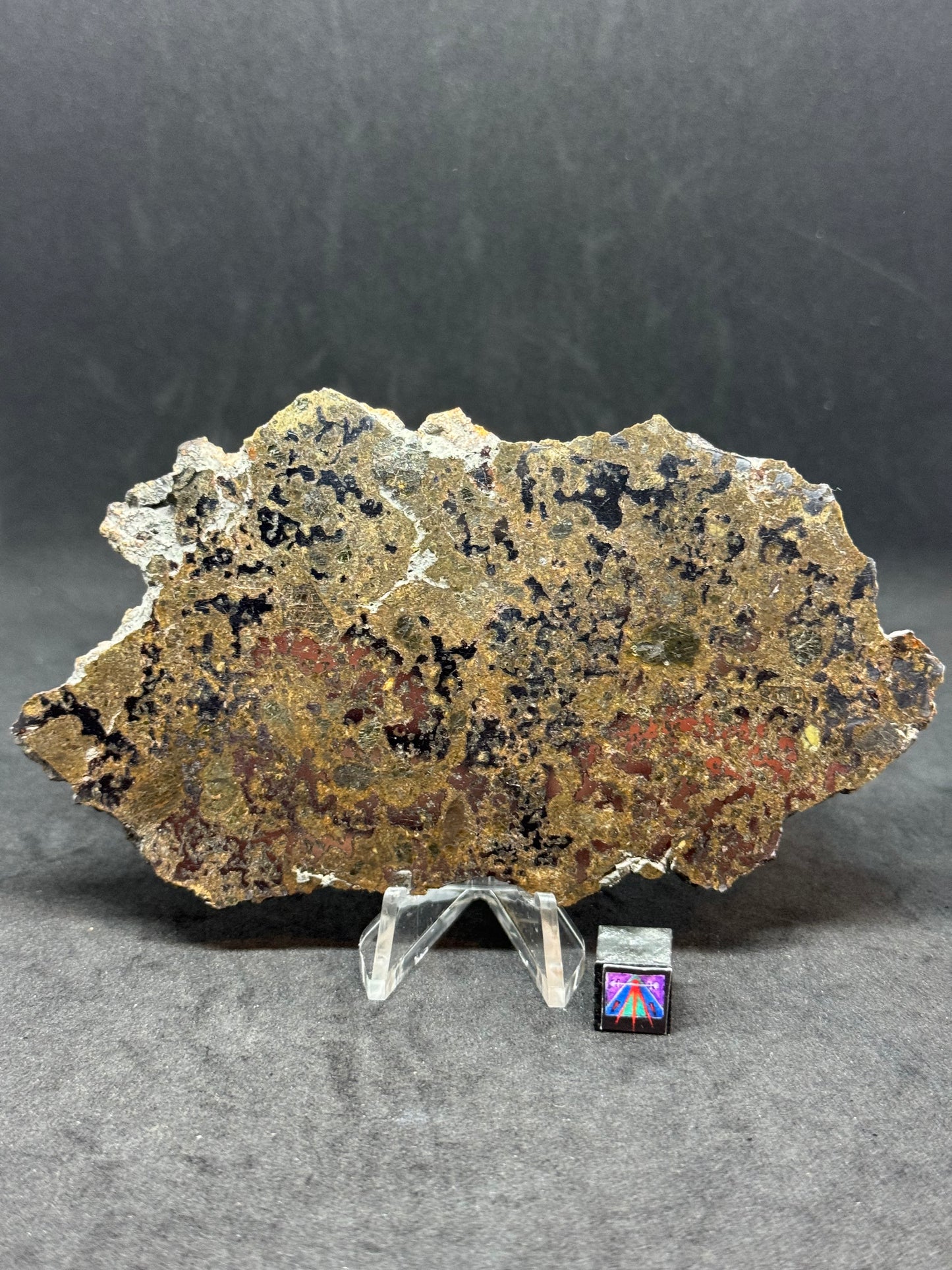 El Milhas Meteorite - Estherville Lookalike! 74.3g