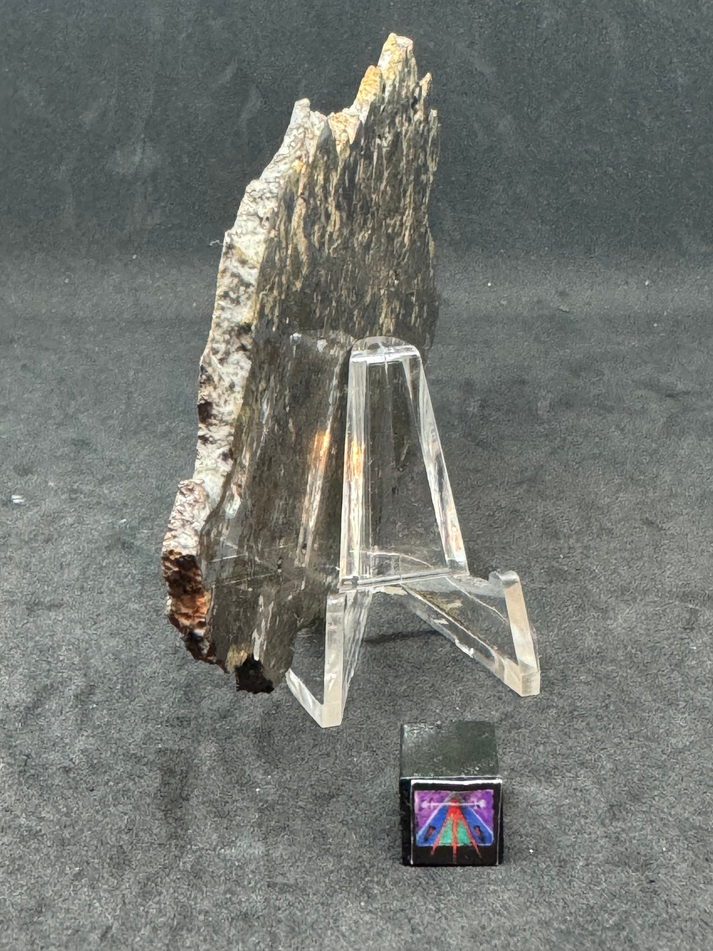 El Milhas Meteorite - Estherville Lookalike! 74.3g