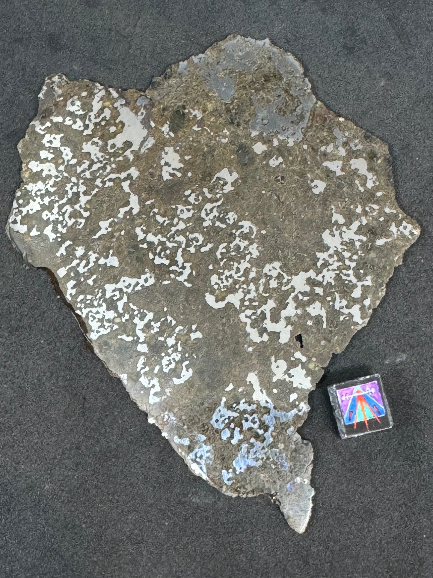 El Milhas 005 - Estherville Lookalike! 47.3g