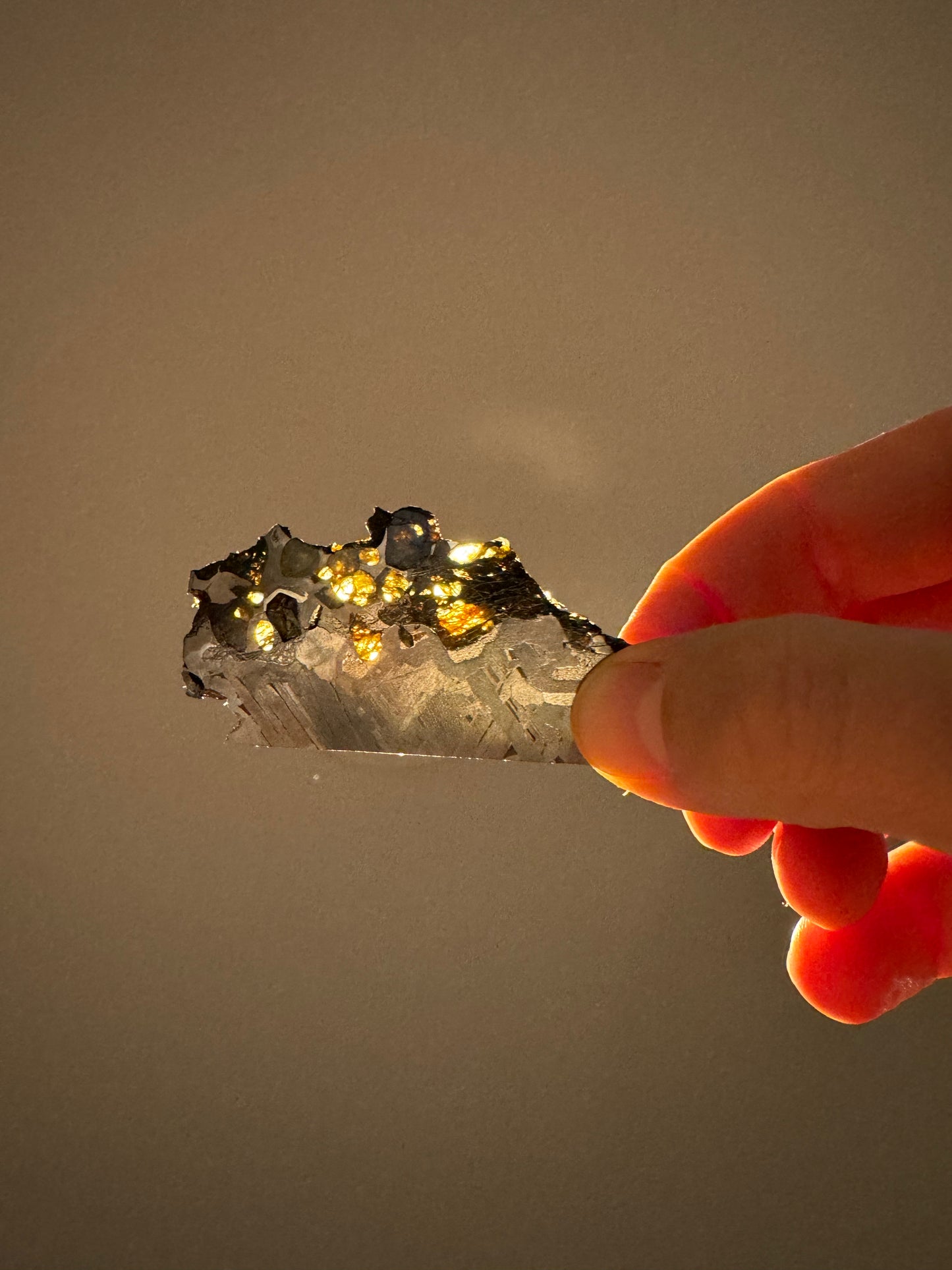 Seymchan Pallasite Meteorite - 23.9g
