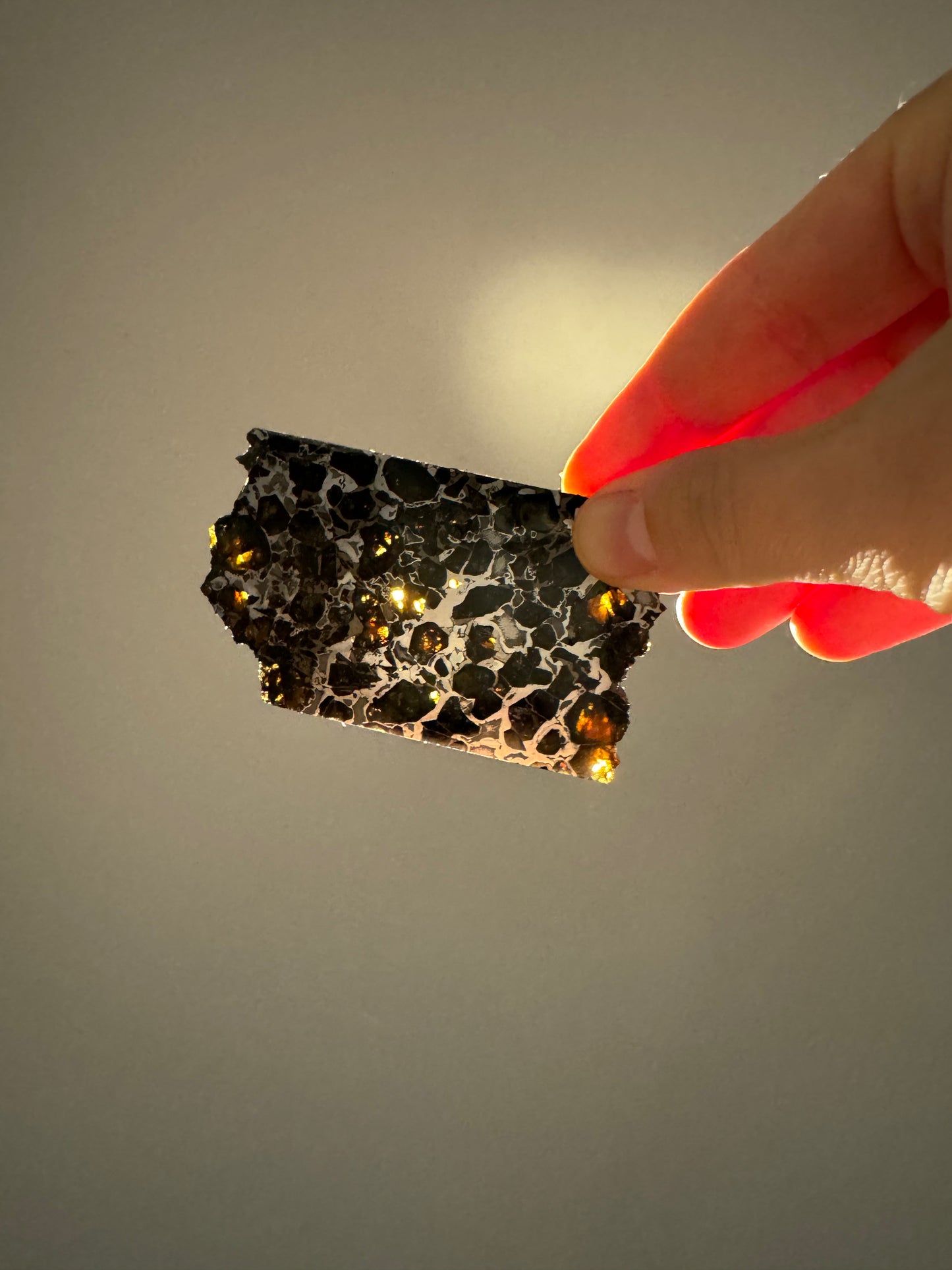 Brahin Pallasite Meteorite - 51.5g