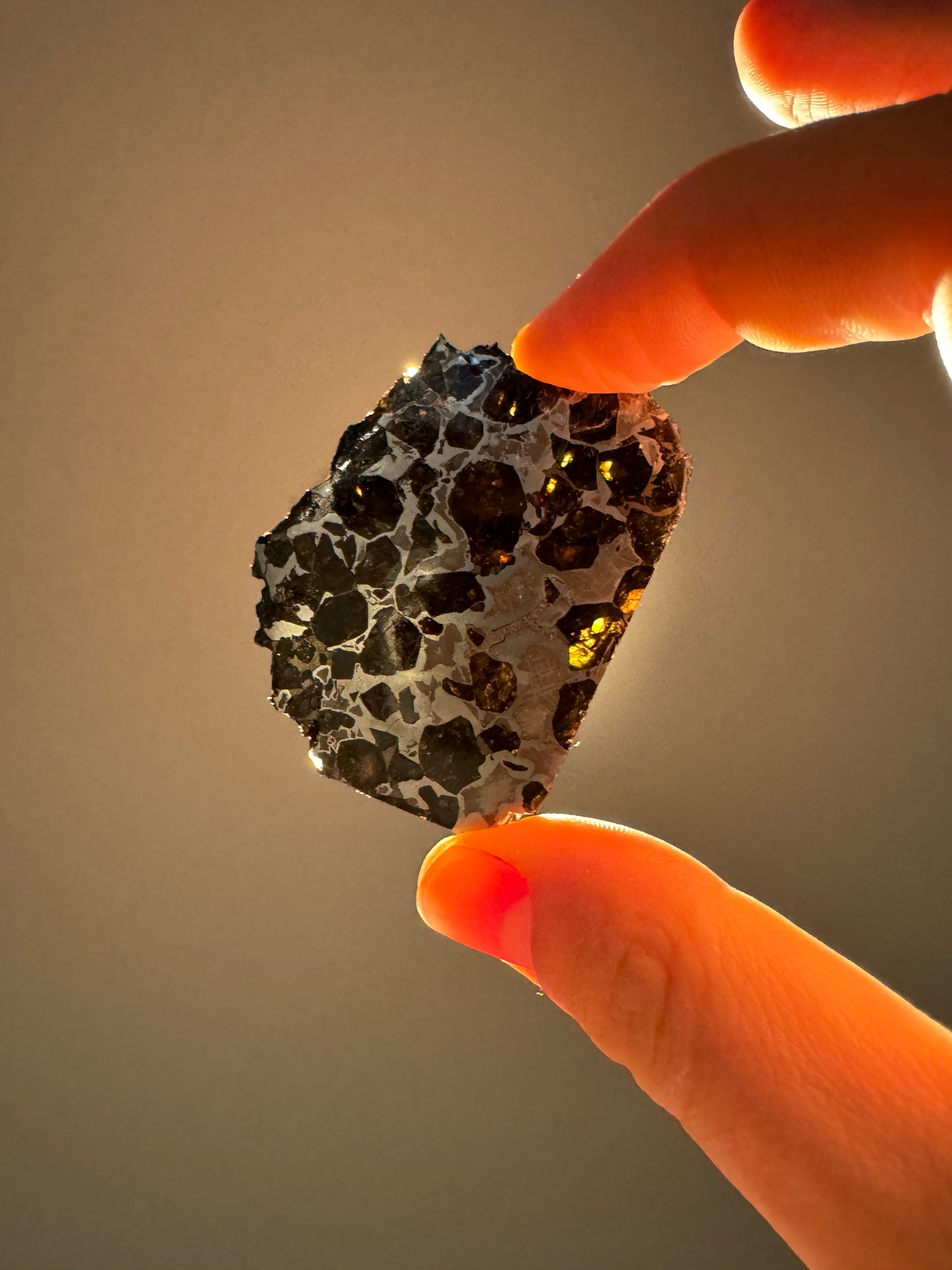 Brahin Pallasite Meteorite - 26.3g
