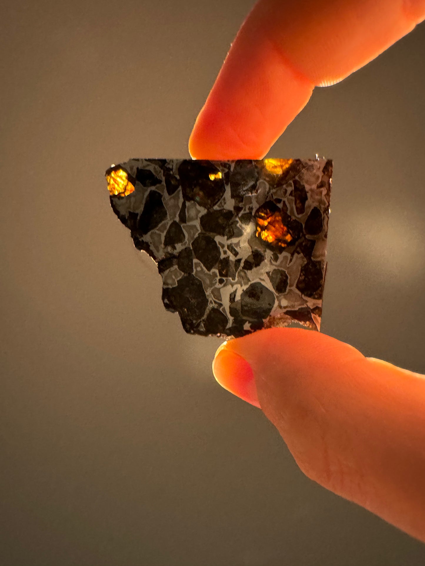 Brahin Pallasite Meteorite - 19.1g