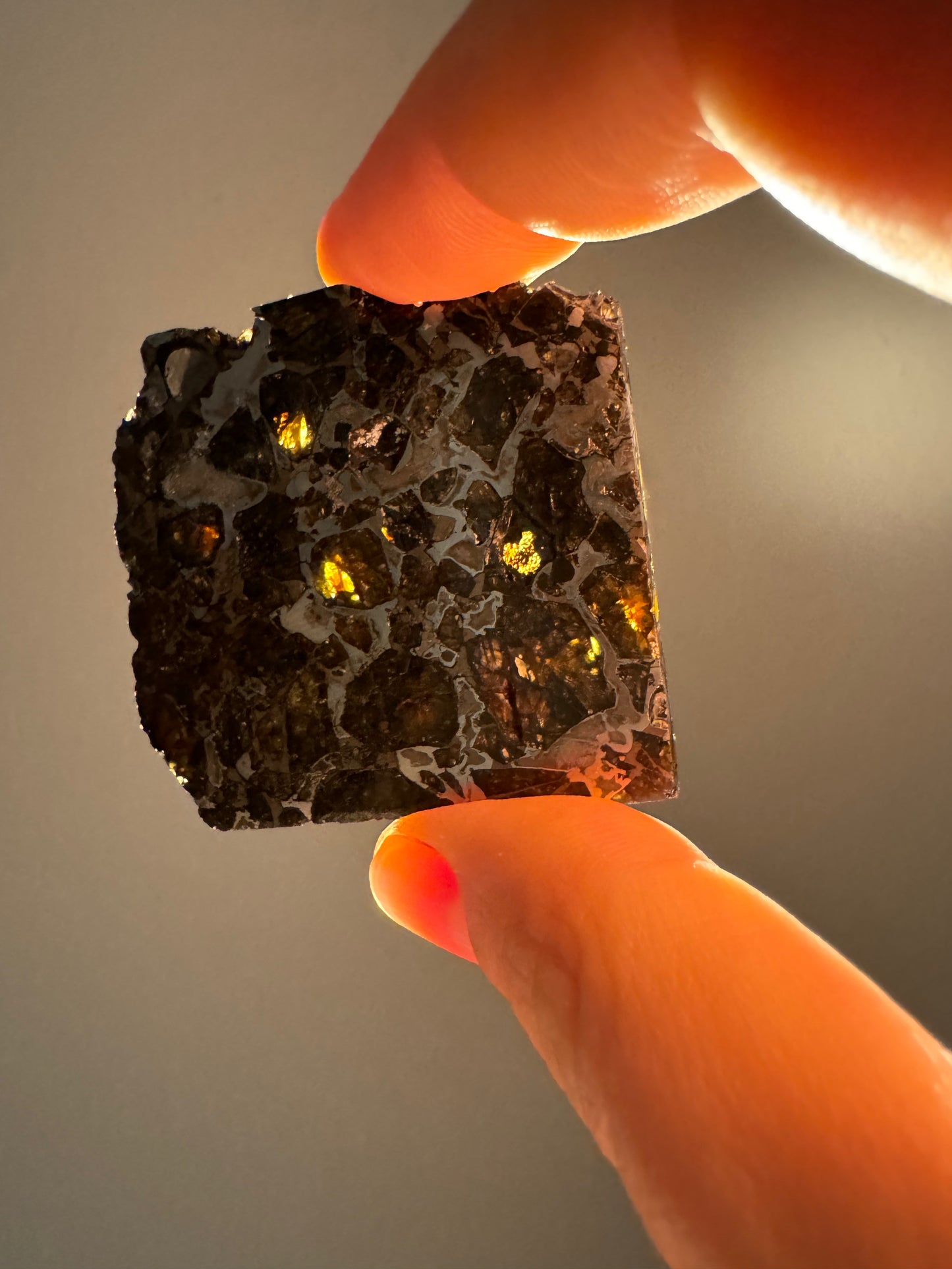 Brahin Pallasite Meteorite - 32.8g