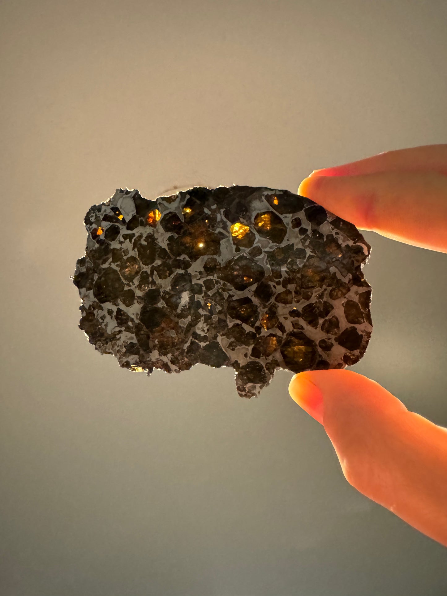 Brahin Pallasite Meteorite - Full Slice - 64.6g
