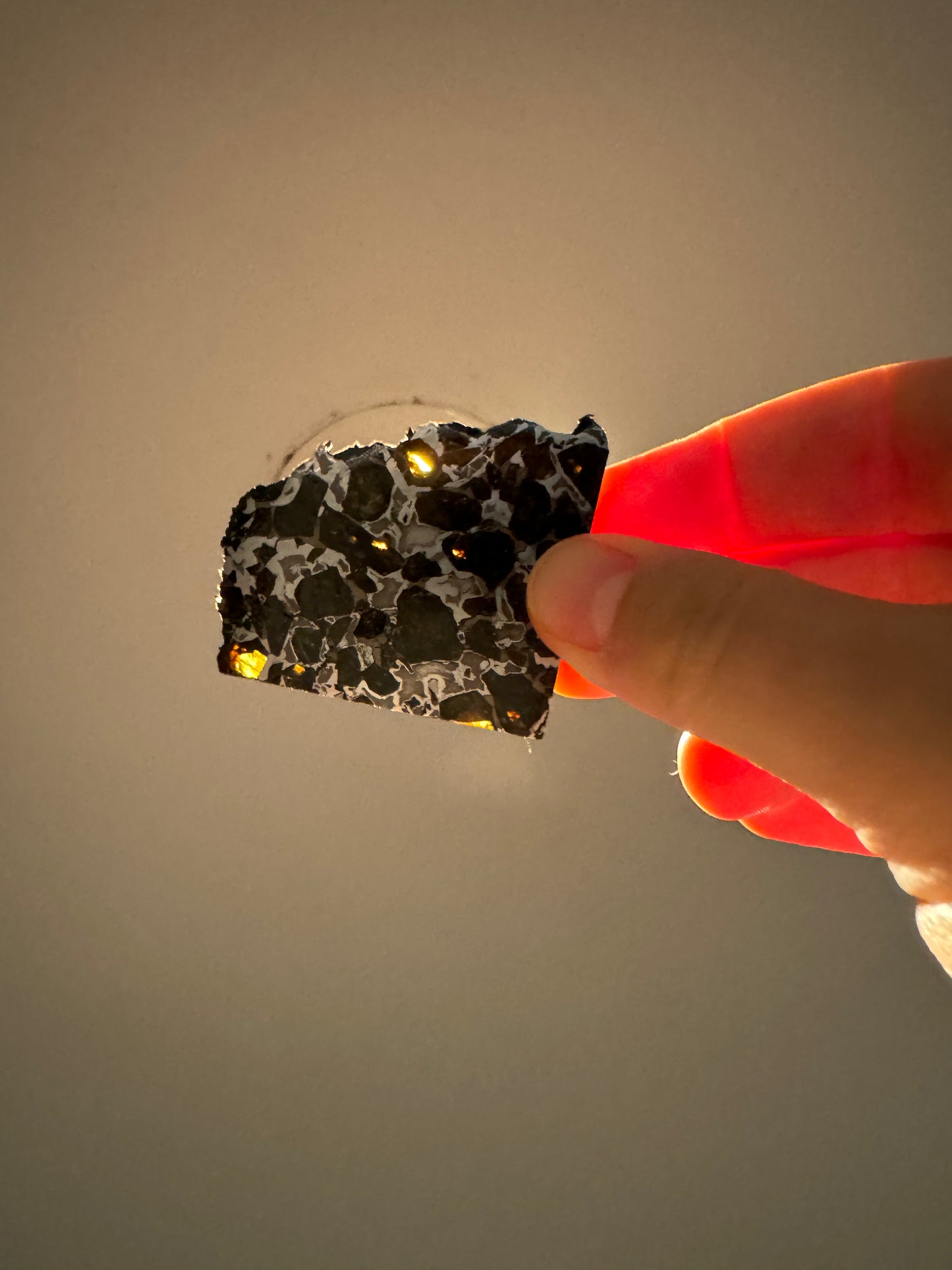Brahin Pallasite Meteorite - 25.5g