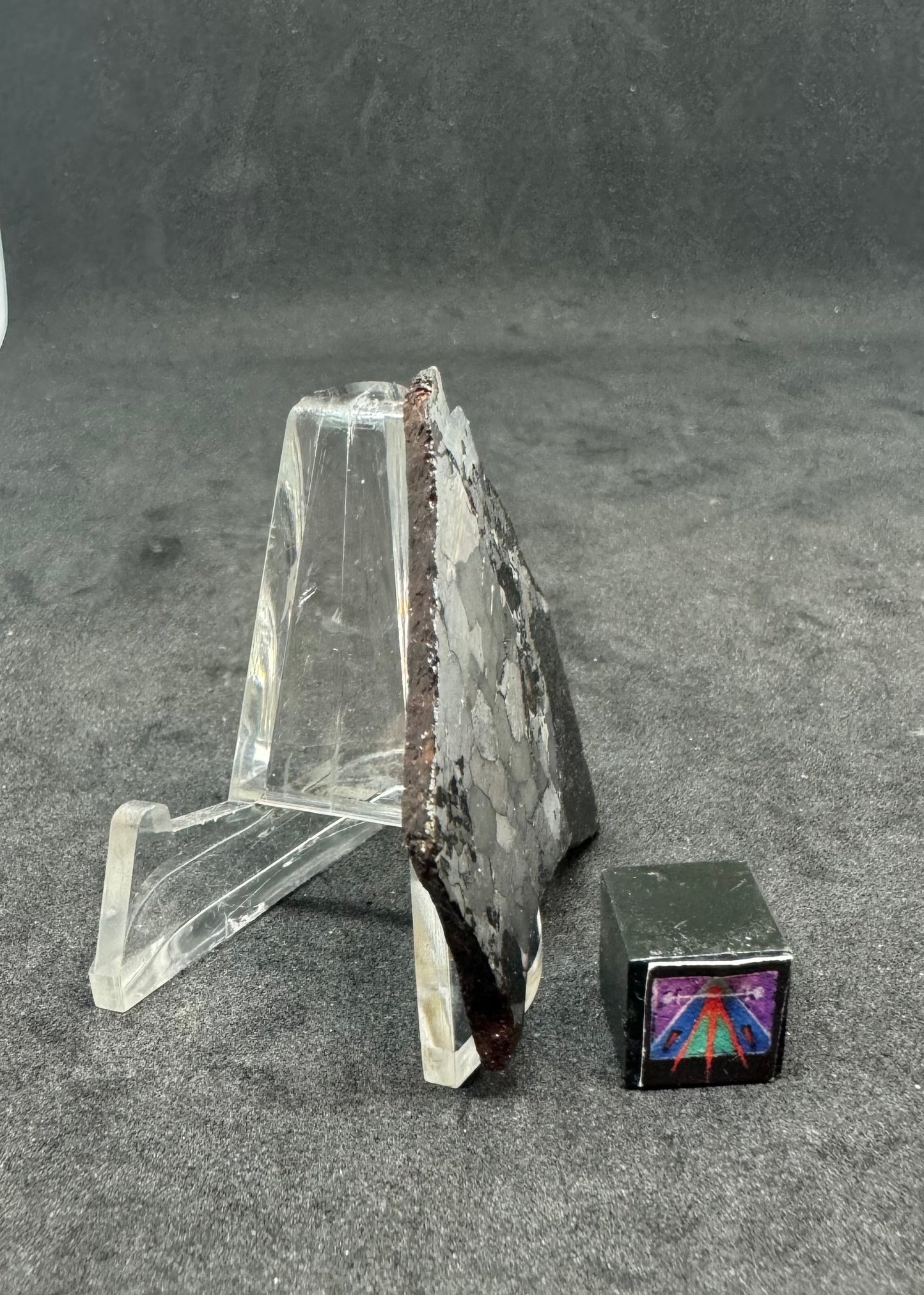 NWA 5549 Silicated Iron Meteorite