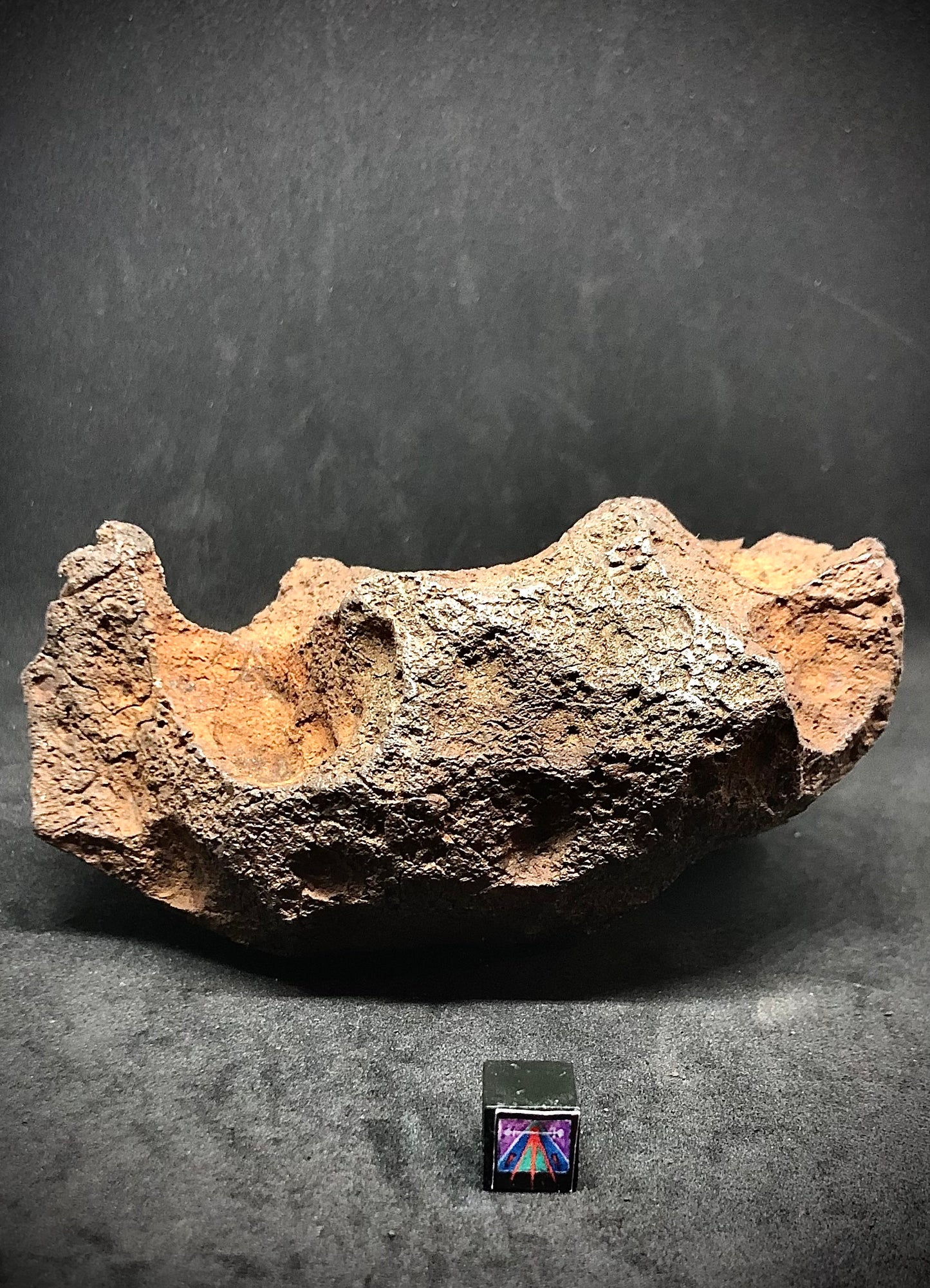 The Famous Canyon Diablo Meteorite - Recovered by Metal Detectorist on Ranch by Strewnfield