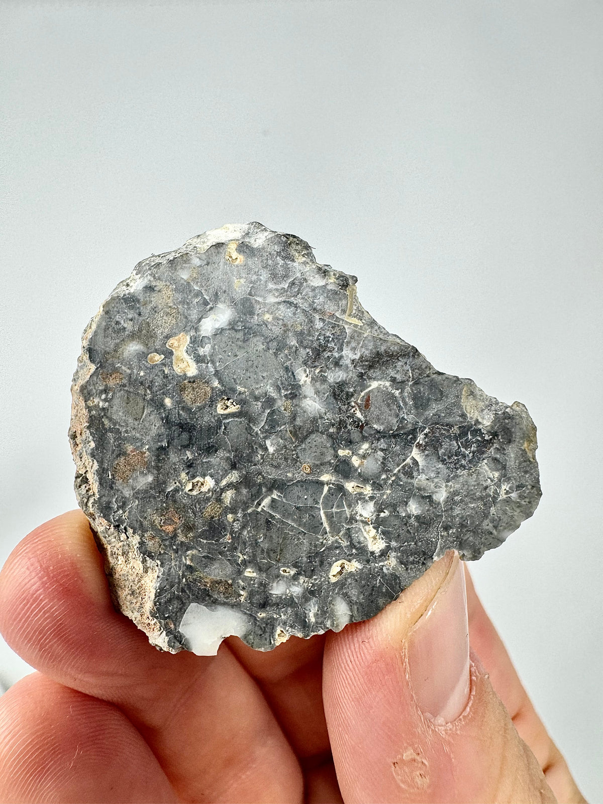 8.6g Adrar 017 Lunar Meteorite - A Rare Gabbro/Norite - From The Moon!