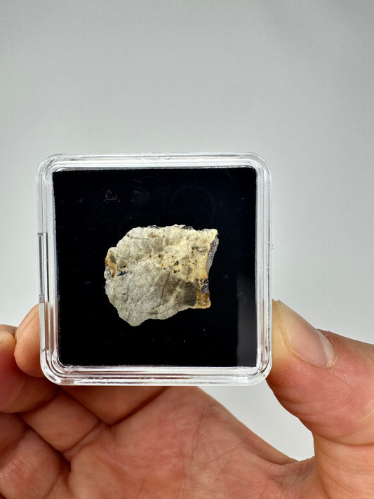 1.9g Djoua 001 Enstatite Achondrite Meteorite - Evidence of Planet Mercury - Marble Appearance