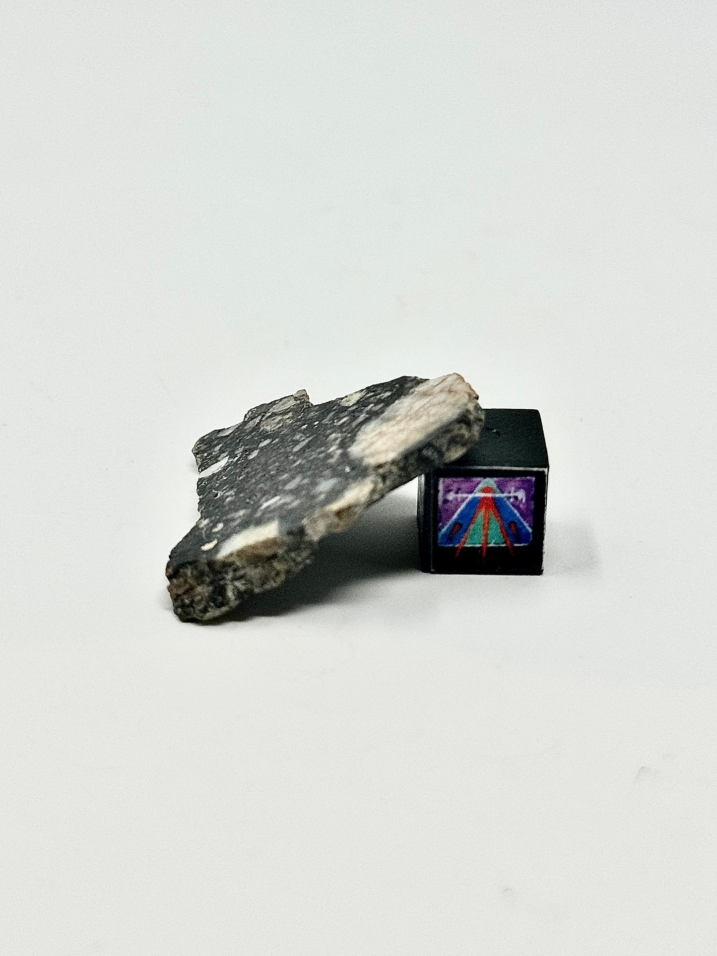 Stunning 3.5g NWA 14685 Lunar Fragmental Breccia - Full Slice - A Chunk Of Our Moon!