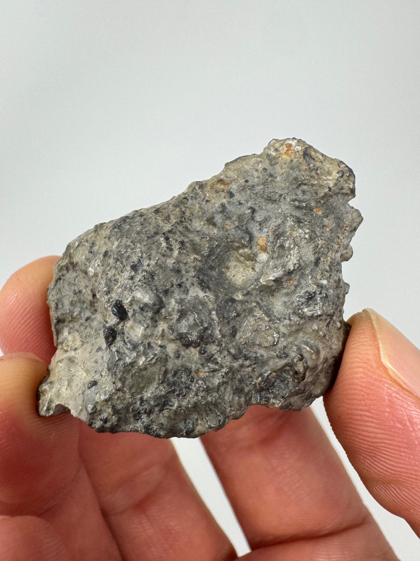 28.8g Lunar Troctolitic Melt - WHOLE STONE! A Rare Lunar Meteorite From Deep Within The Moon