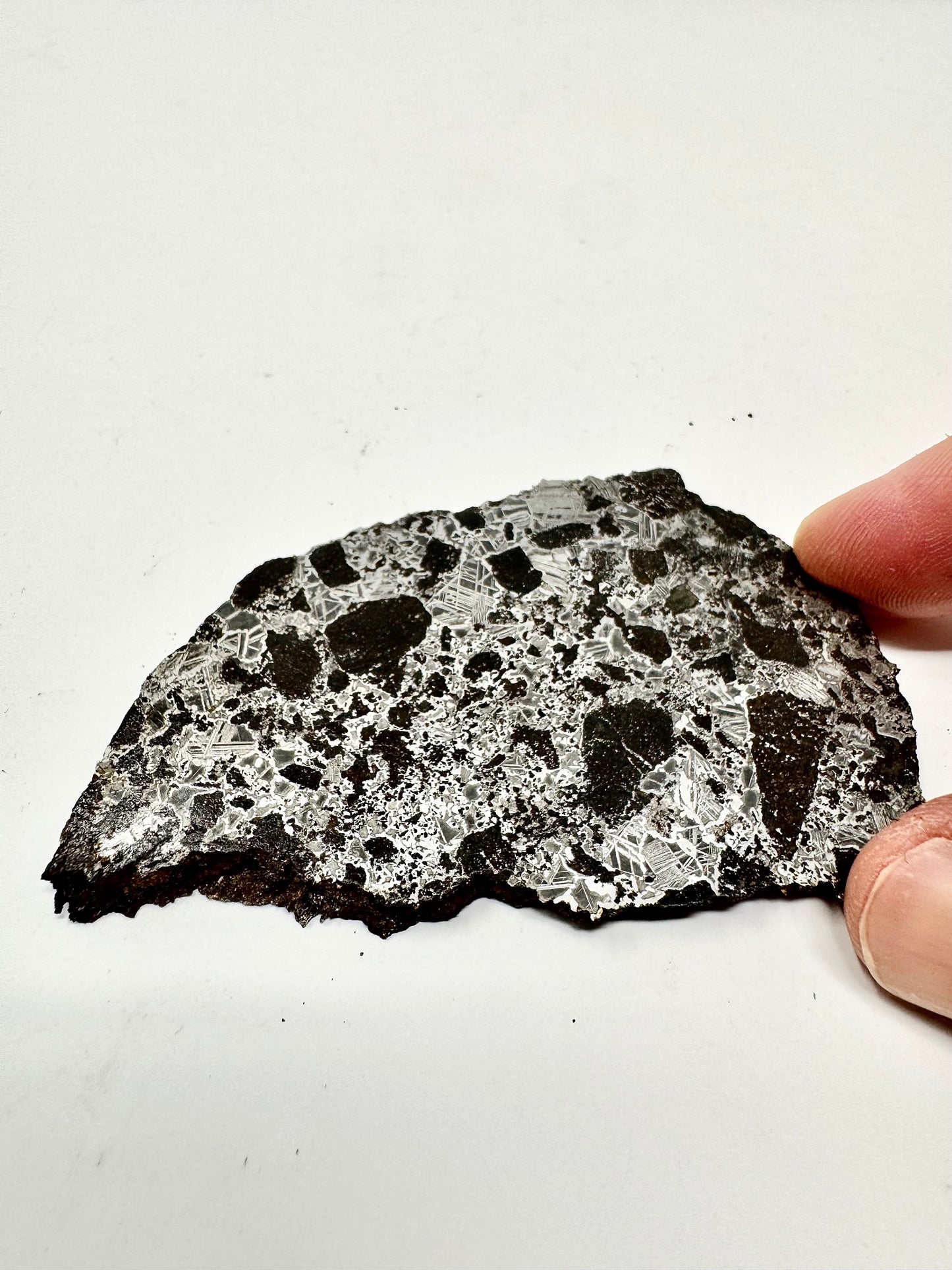 NEW! 43.7g Extremely High Iron Winonaite Meteorite Under Study - A Primitive Achondrite!